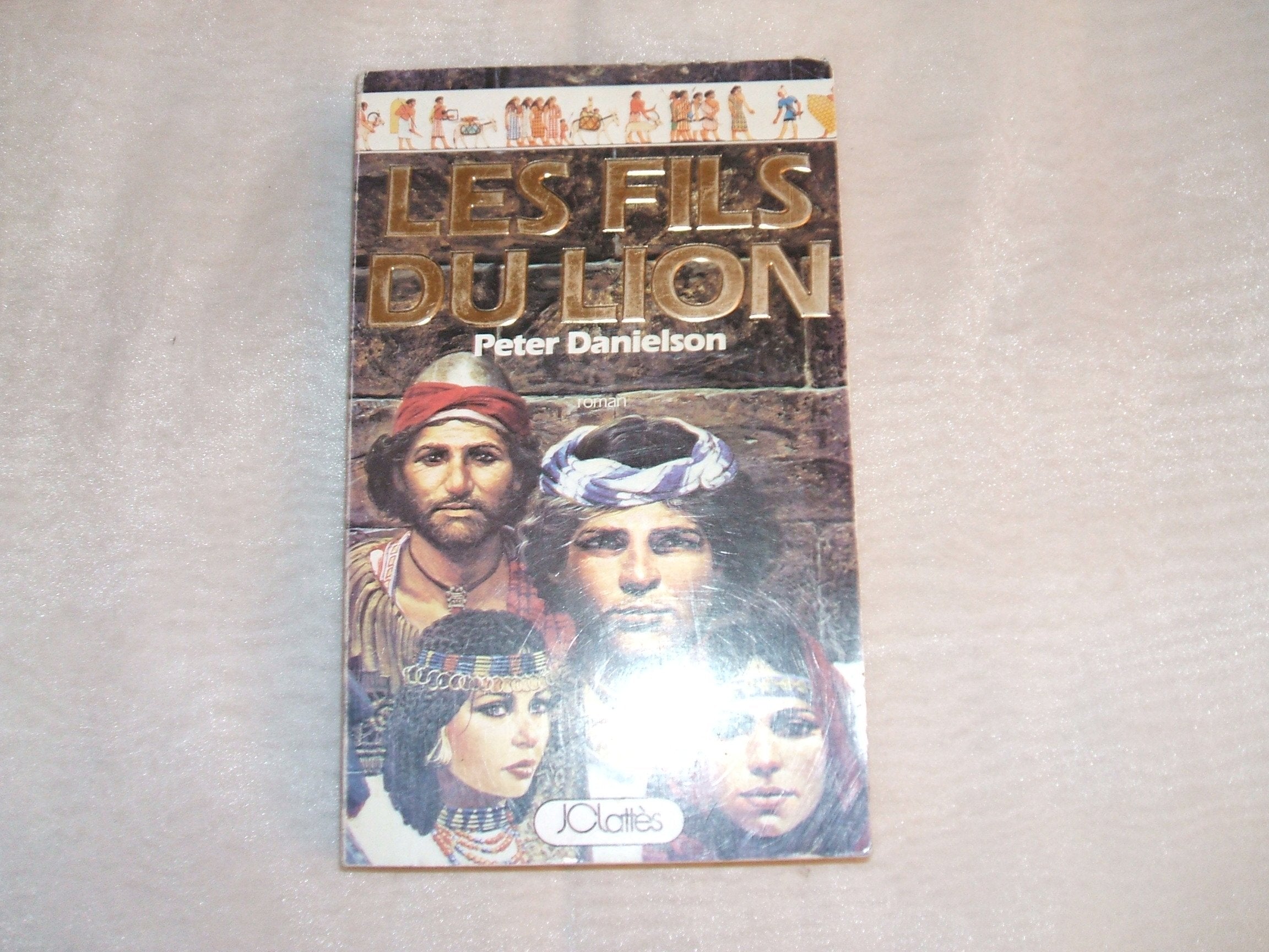 les fils du lion 9782709600811