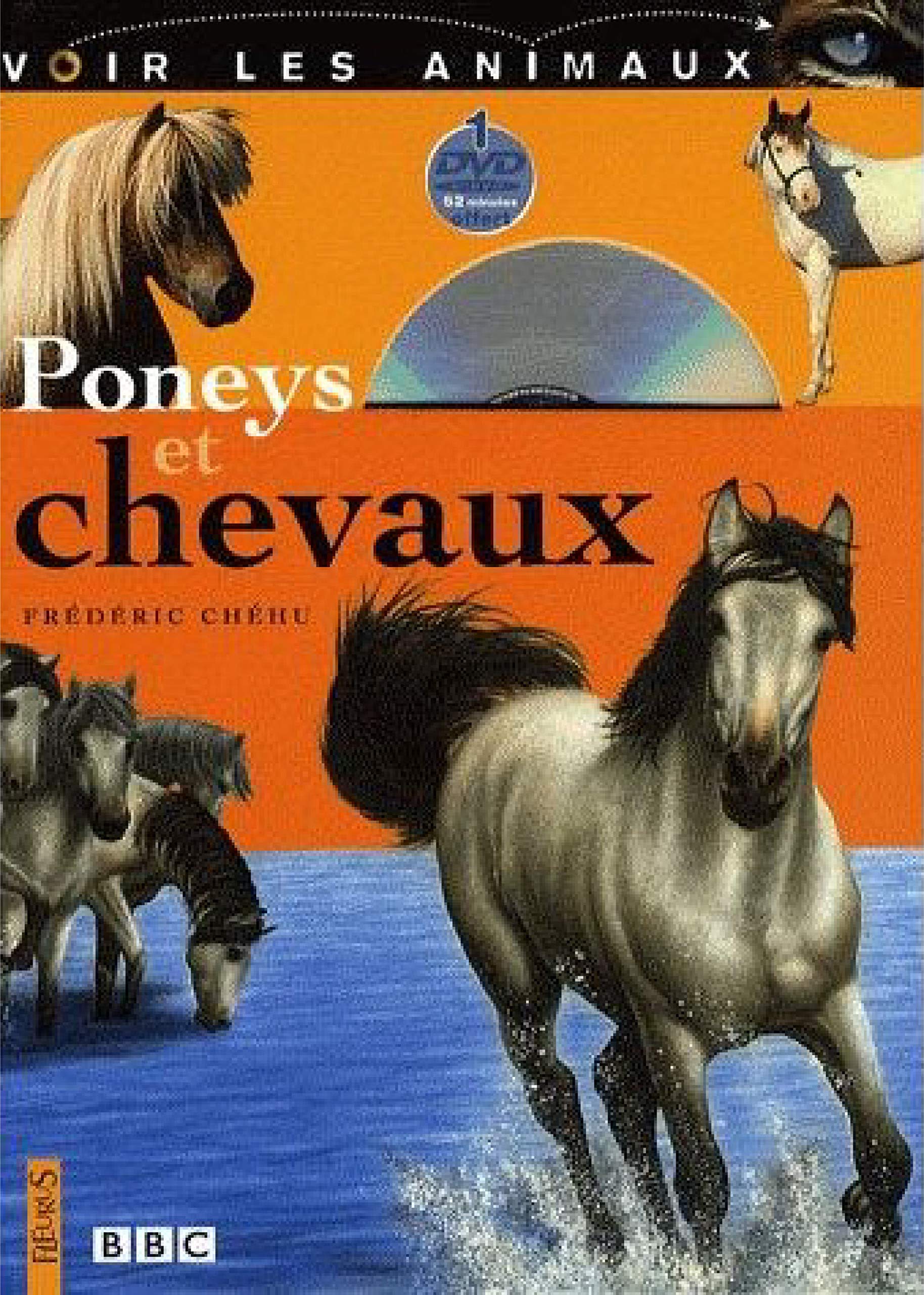 Poneys et chevaux 9782215055549