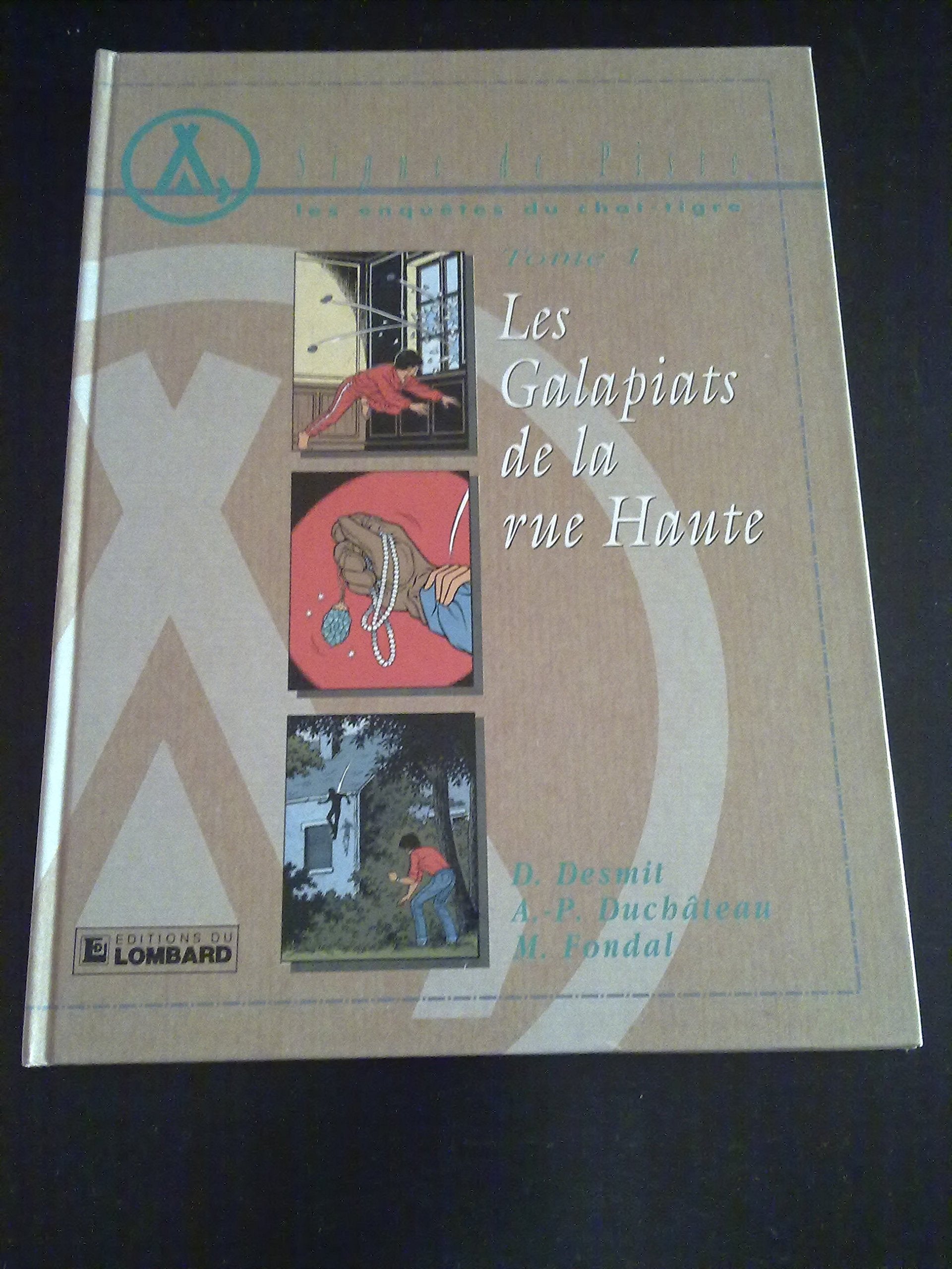 Les Enquêtes du chat-tigre, tome 1 : Les Galapiats de la rue Haute 9782803609215