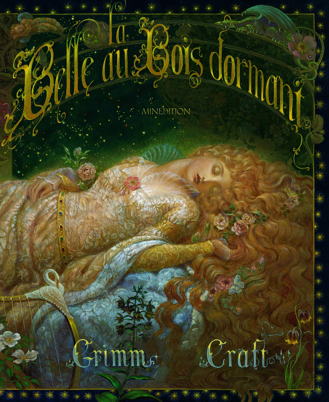 BELLE AU BOIS DORMANT (LA) (0) 9782354132293