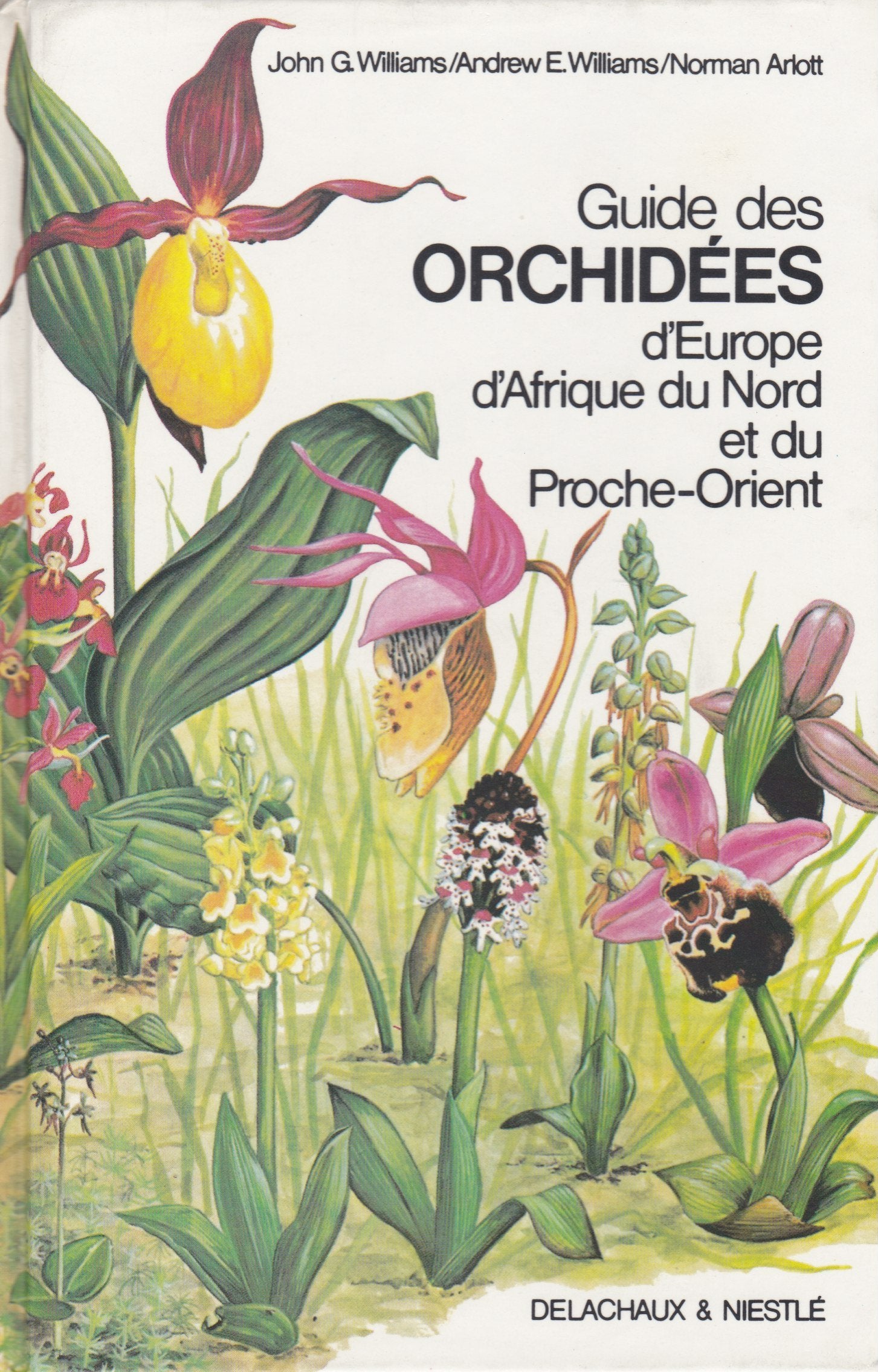 Guide des orchidees 081794 9782603006450