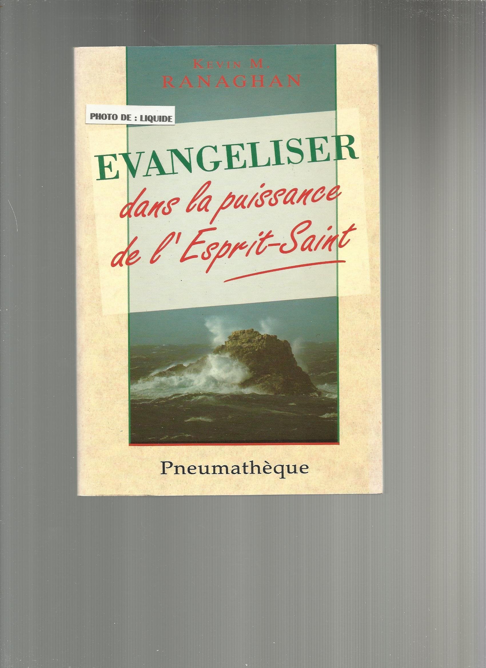 Evangeliser dans la puissance de l'esprit saint 9782840240730