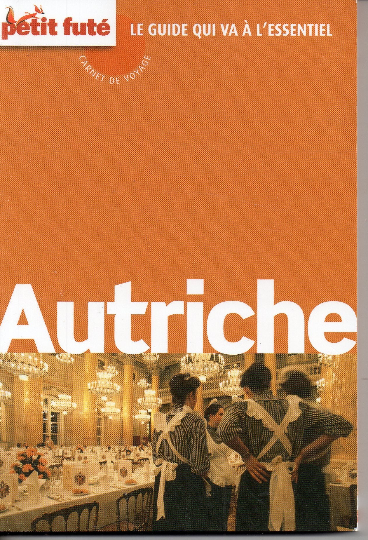autriche 2014 carnet de voyage petit fute 9782746976764