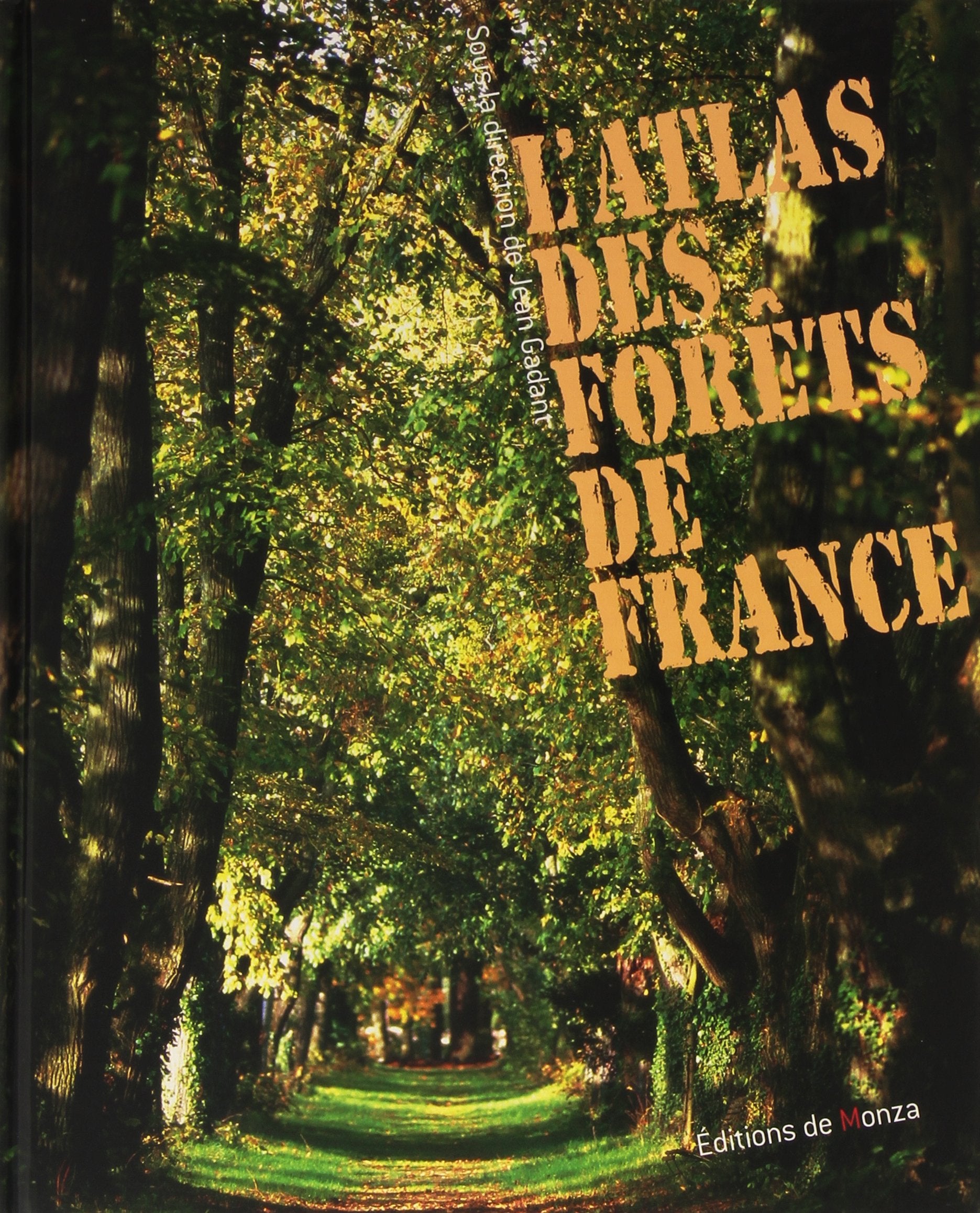 L'ATLAS DES FORETS DE FRANCE 9782908071573