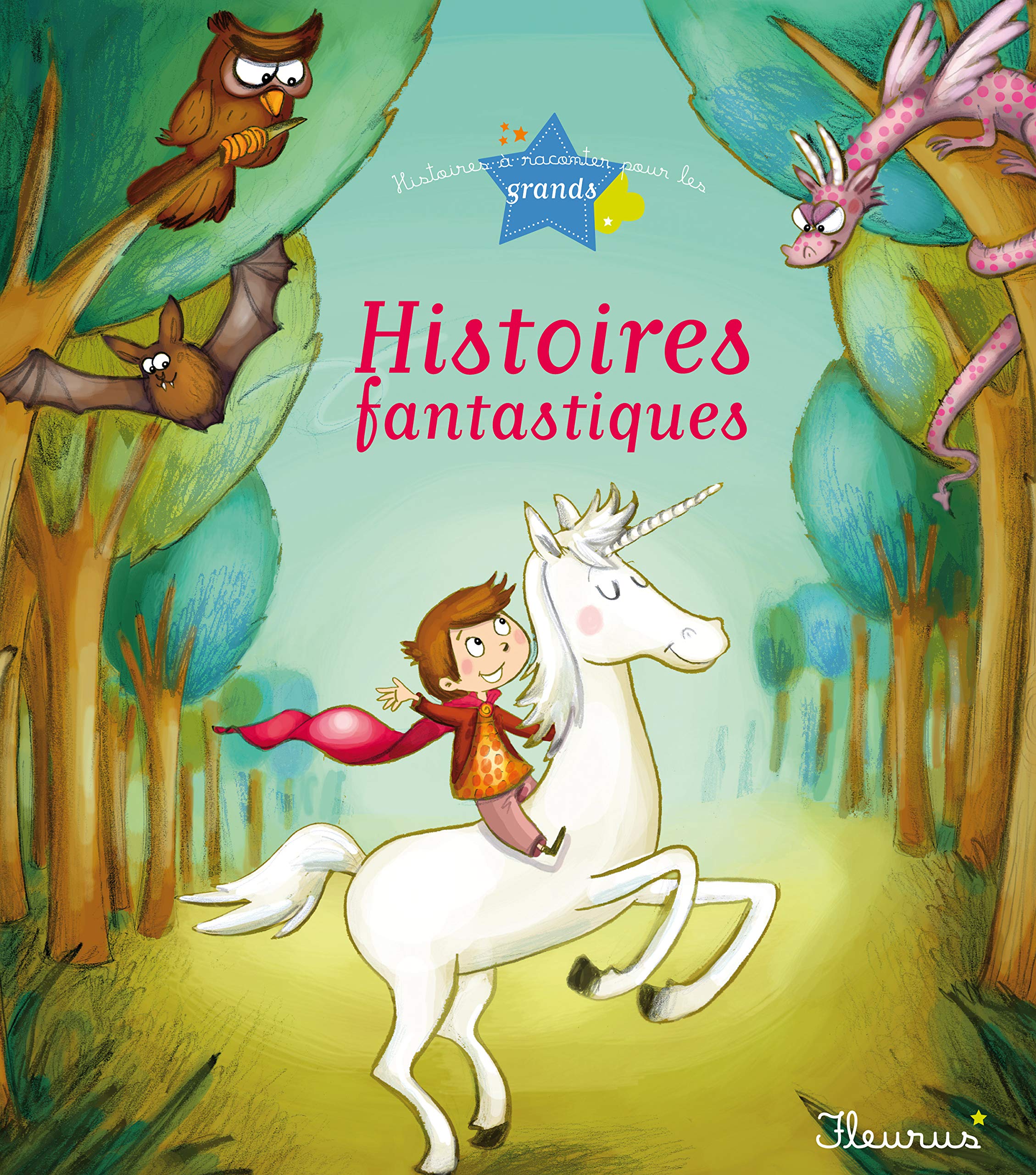 Histoires fantastiques 9782215049401