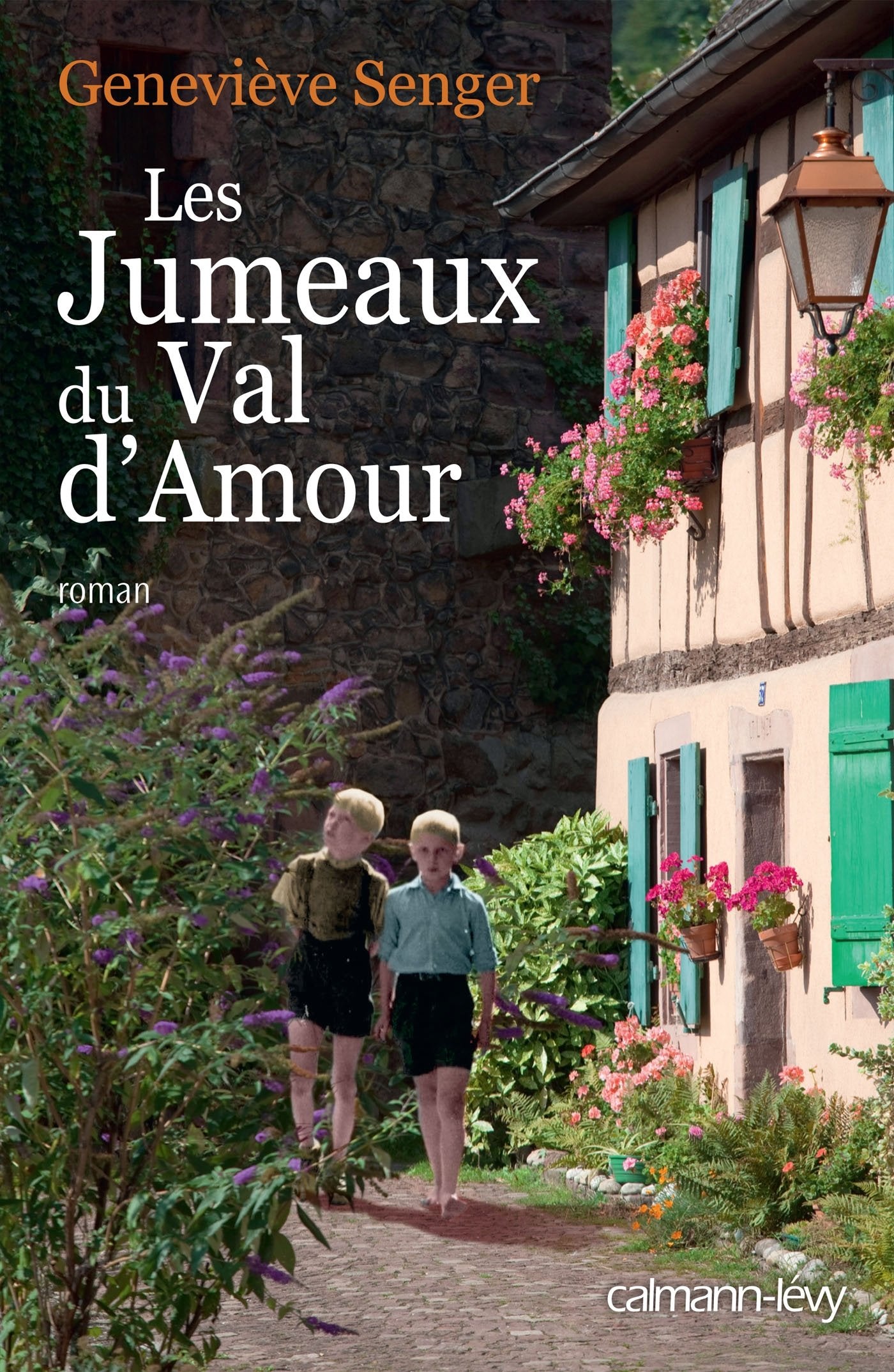 Les Jumeaux du Val d'amour 9782702158029
