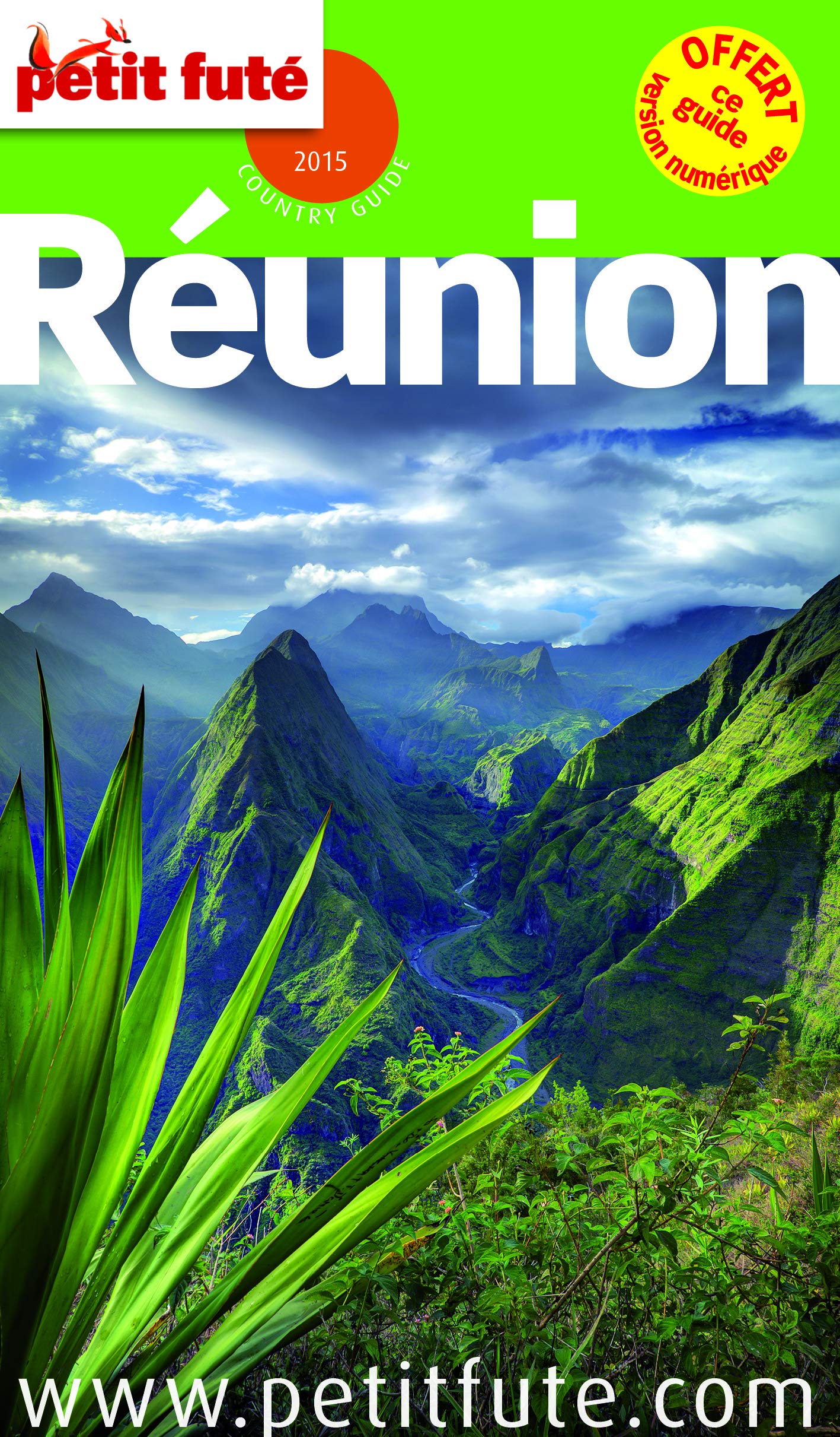 REUNION 2015 PETIT FUTE 9782746978294