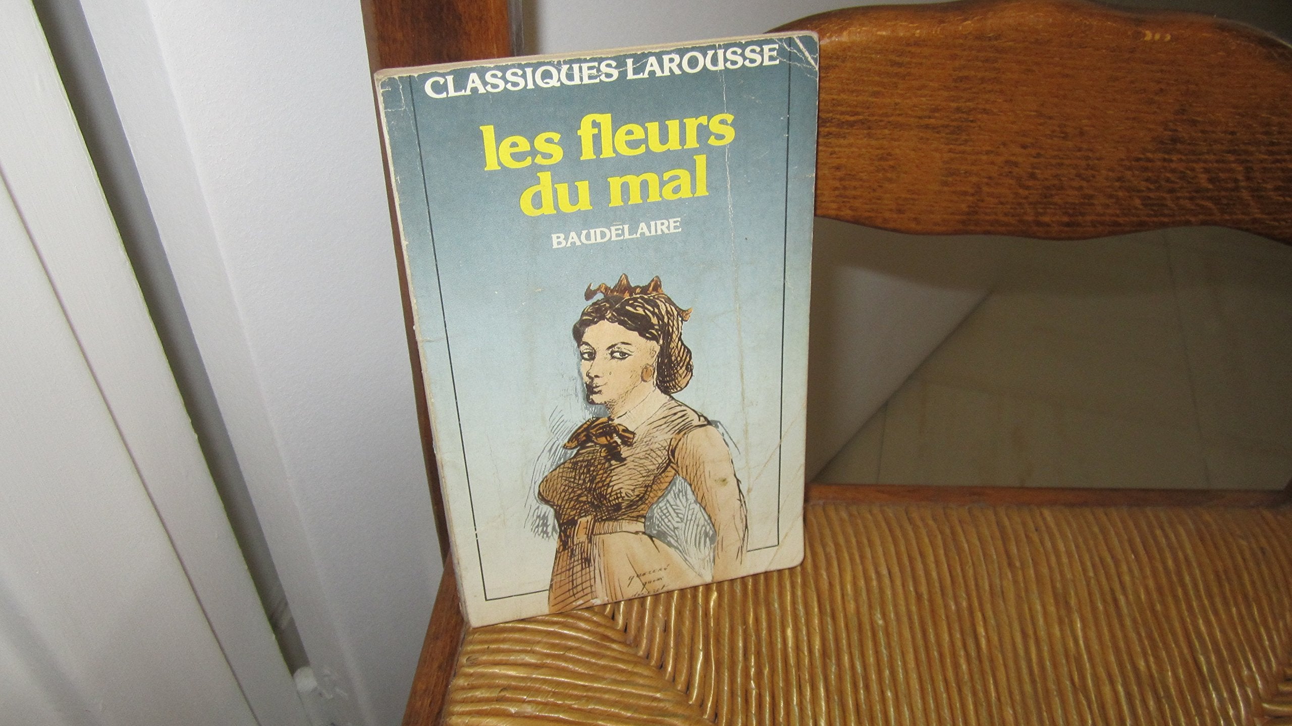 Les Fleurs Du Mal 9782038700114