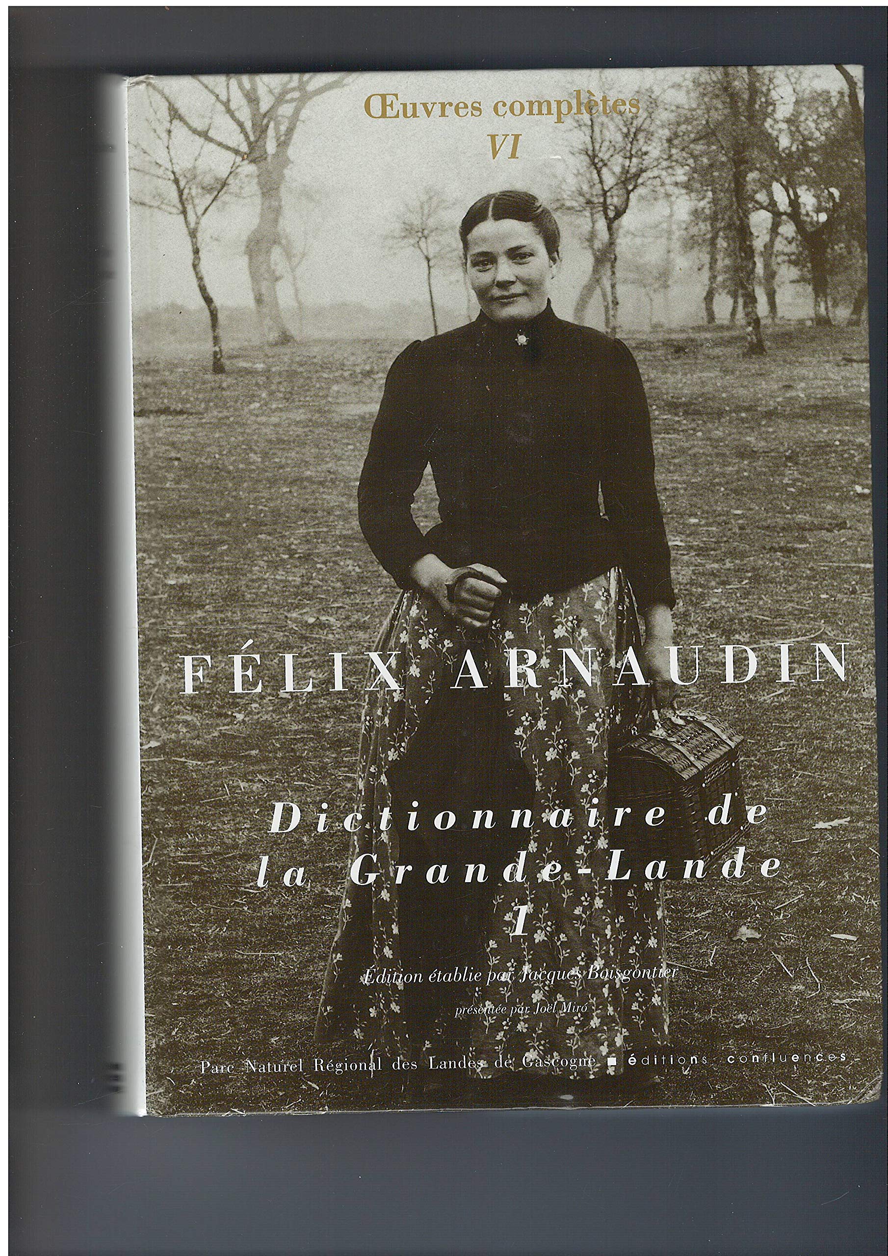 DICTIONNAIRE DE LA GRANDE LANDE 1 9782914240024