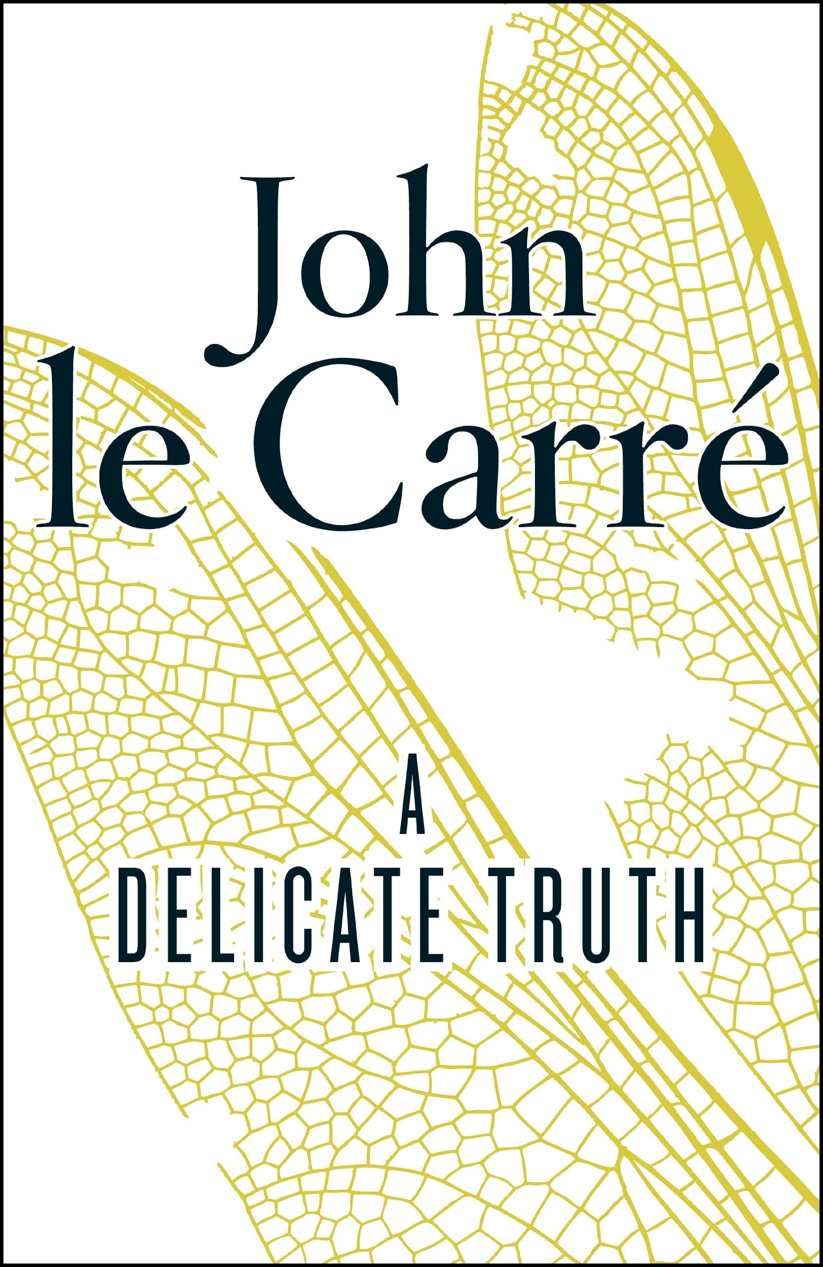 A Delicate Truth 9780241965160