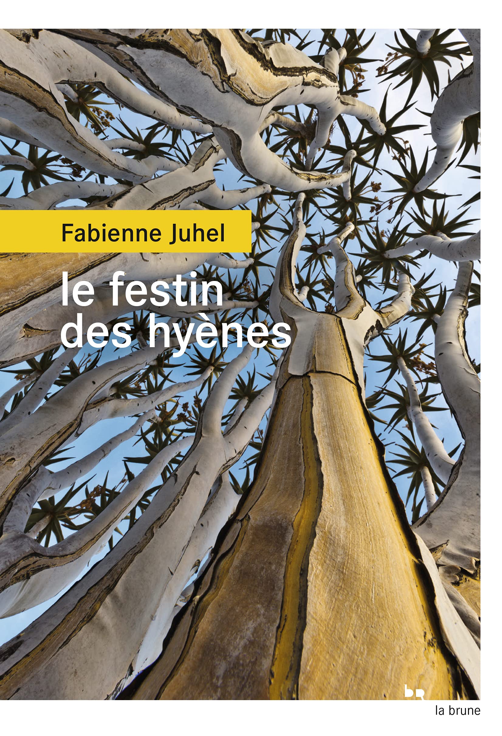 Le festin des hyènes 9782812622335