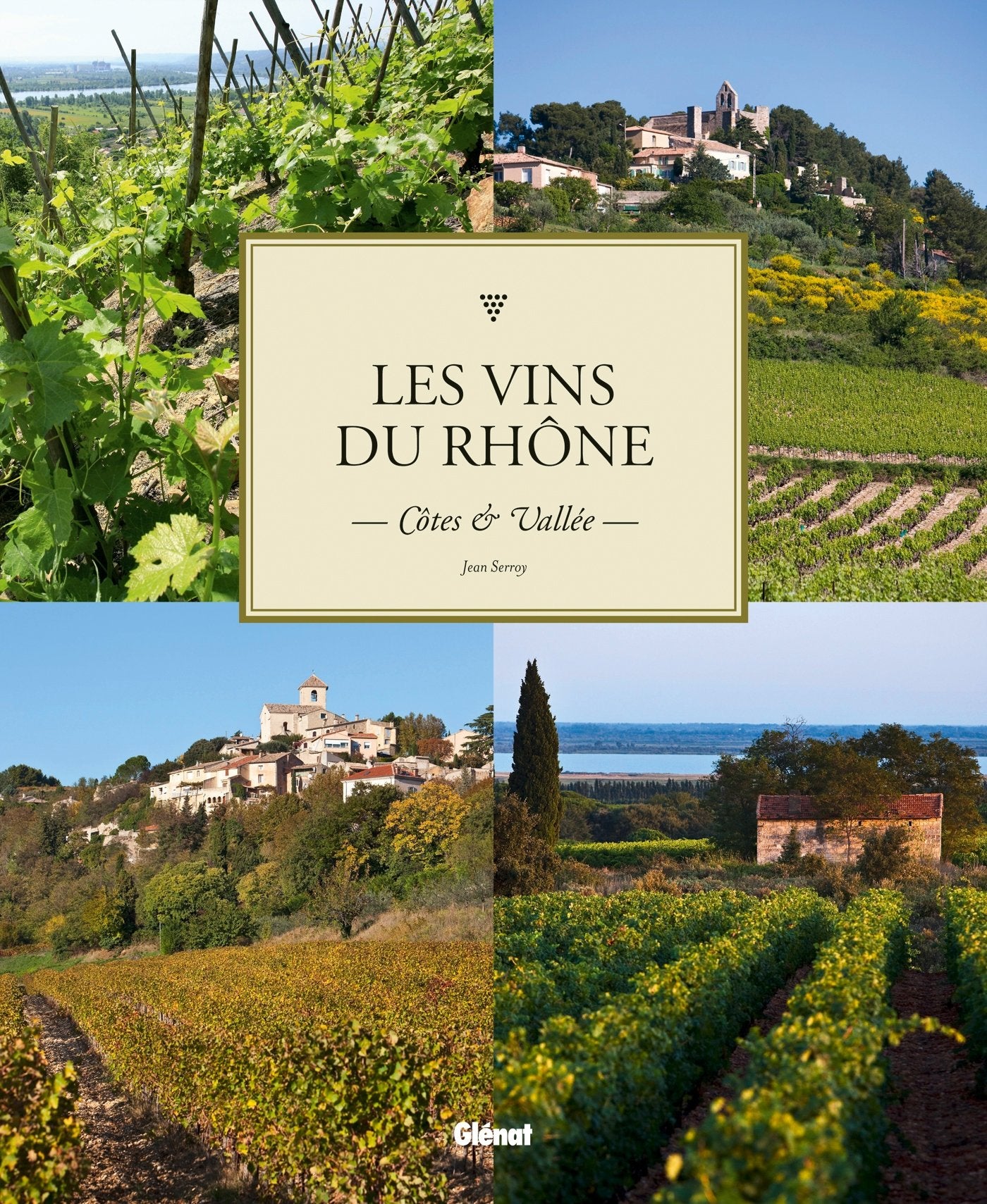 Les vins du Rhône: Côtes et Vallée 9782723485876