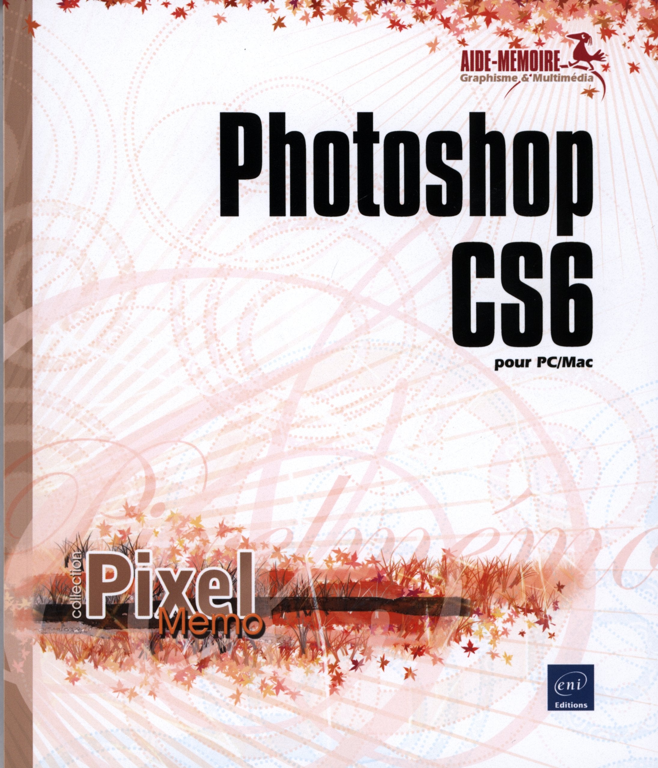 Photoshop CS6 pour PC/Mac 9782746075481