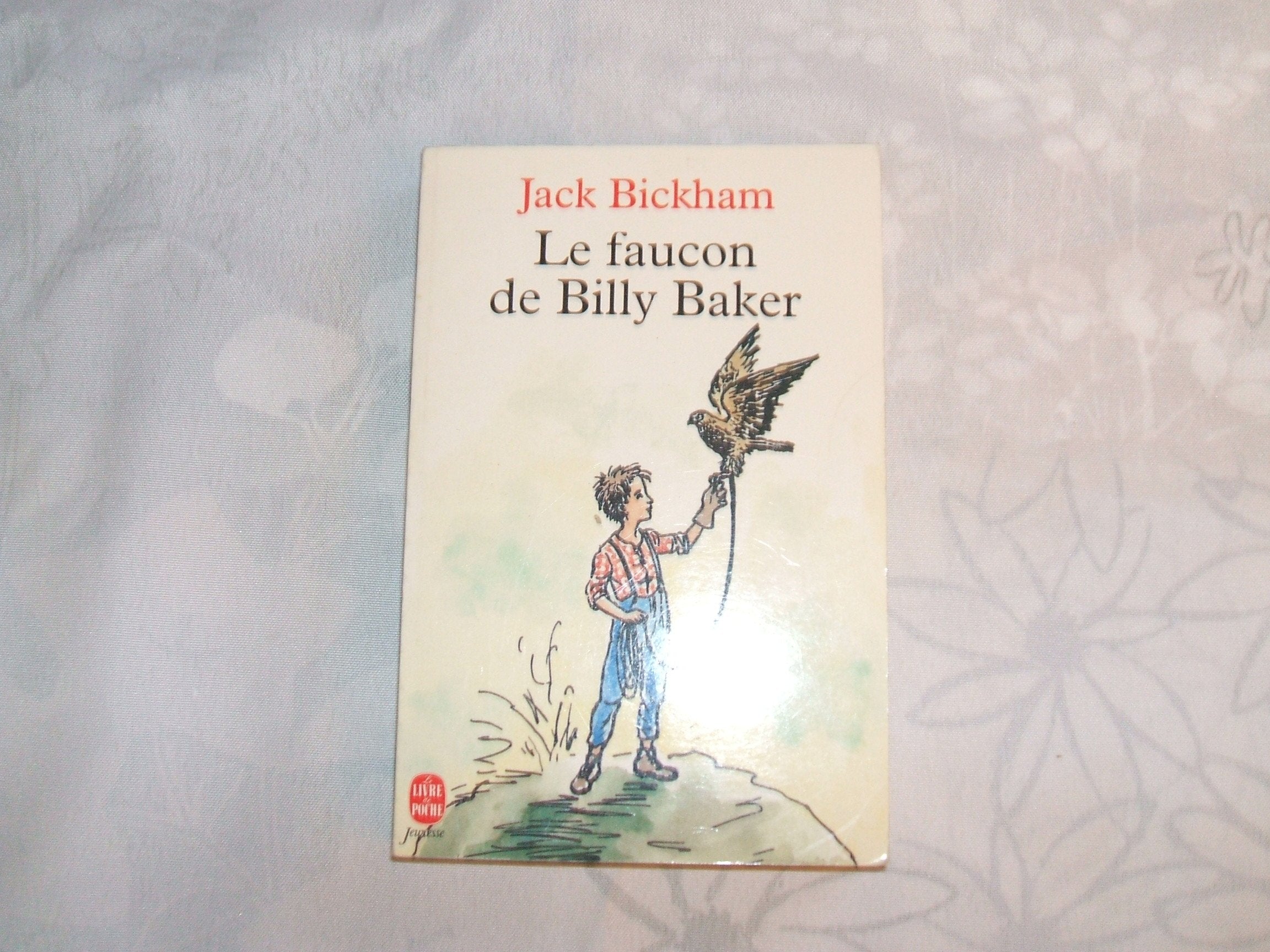Le Faucon de Billy Baker 9782010144295