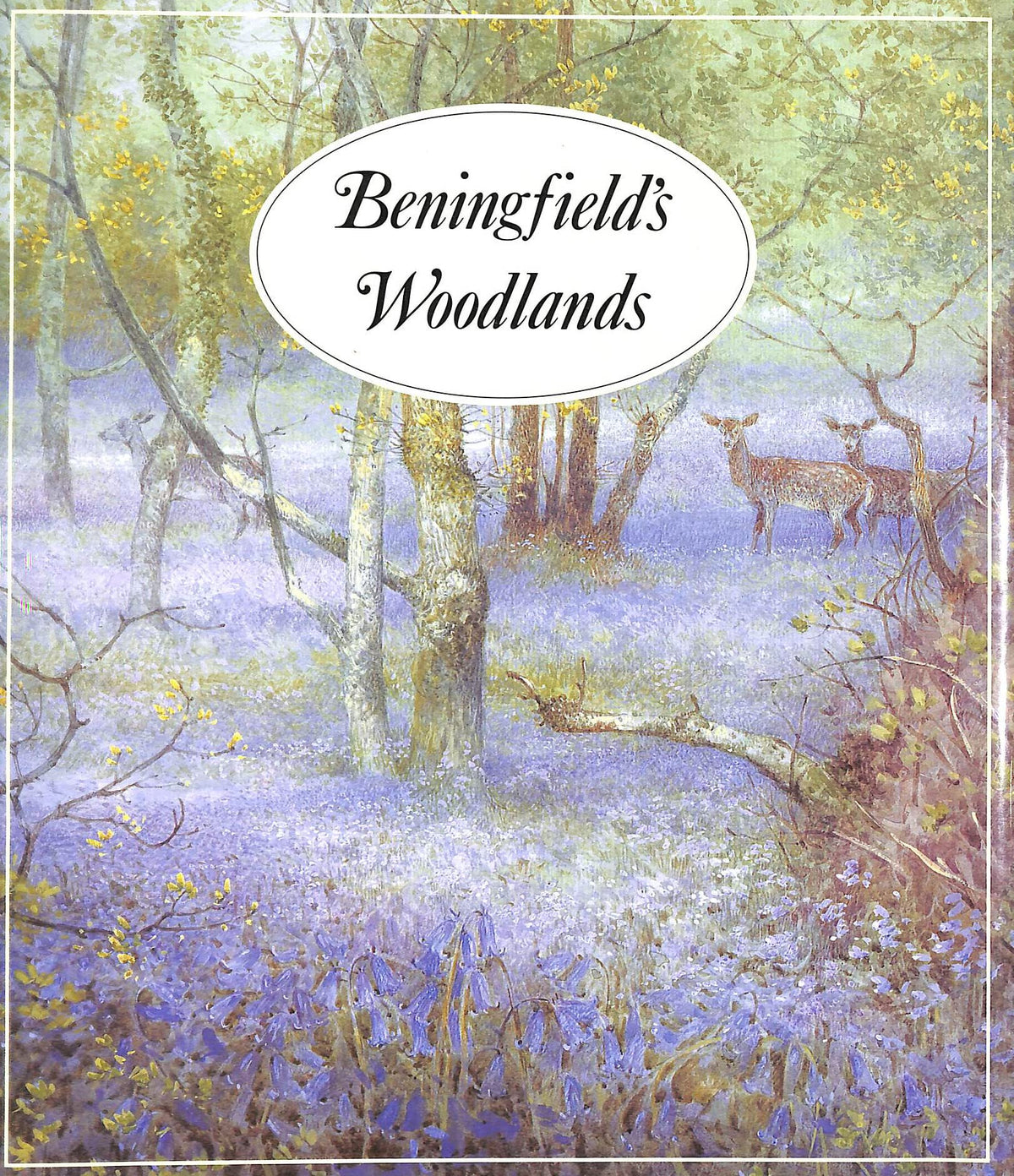 Beningfield's Woodlands 9780670840014