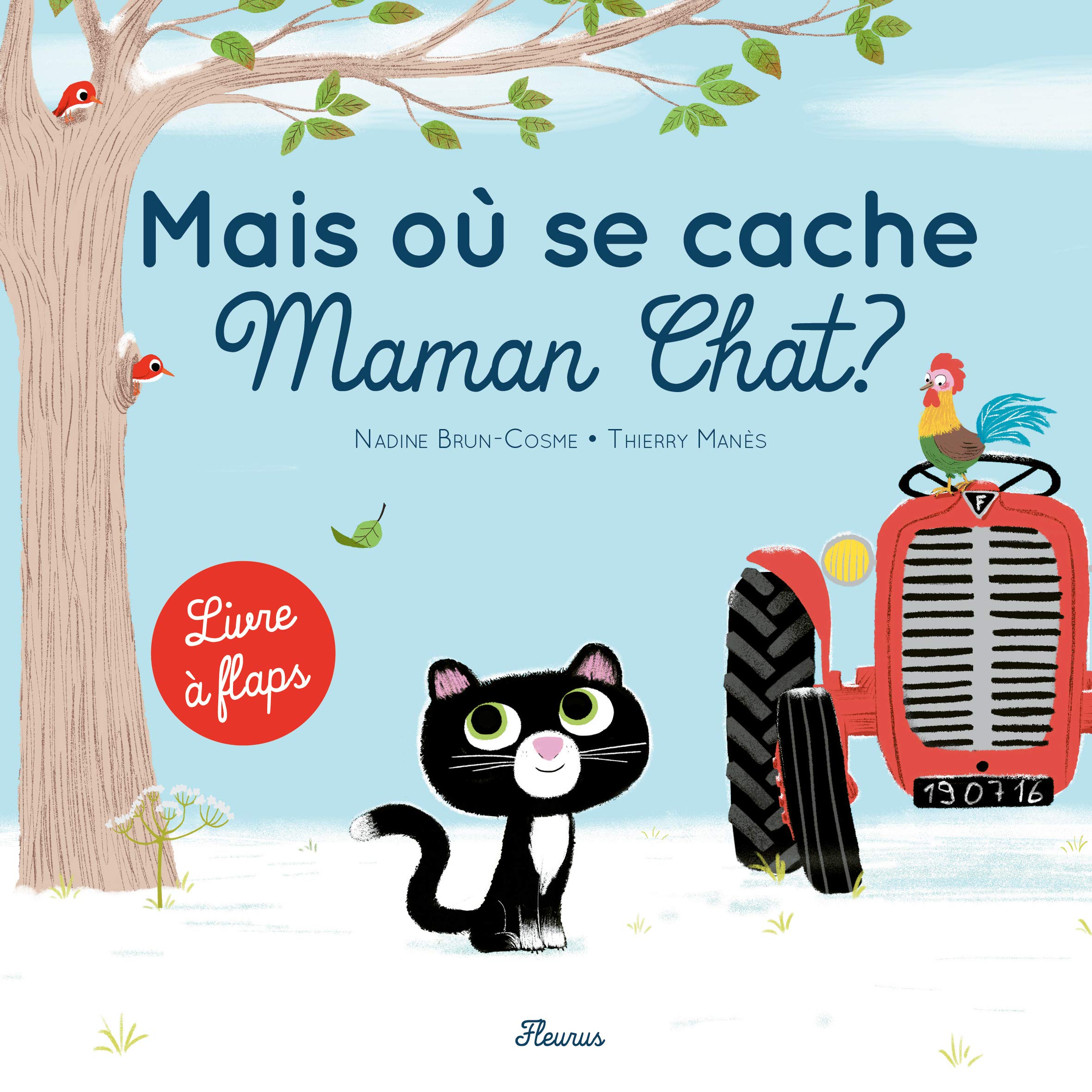 Mais où se cache Maman-Chat ? 9782215132943