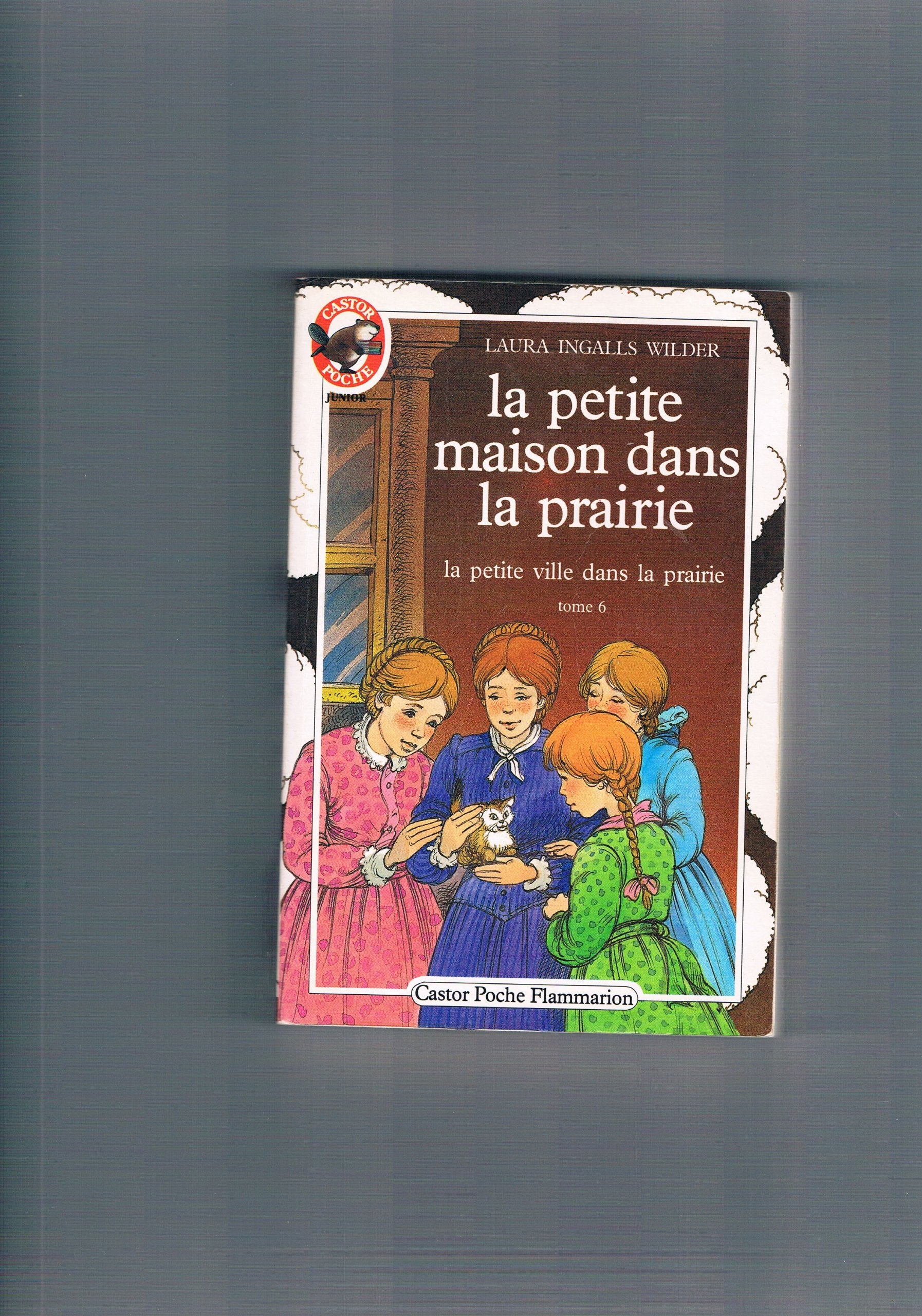 La petite maison dans la prairie. Tome 6. La petite ville dans la prairie 9782081618749