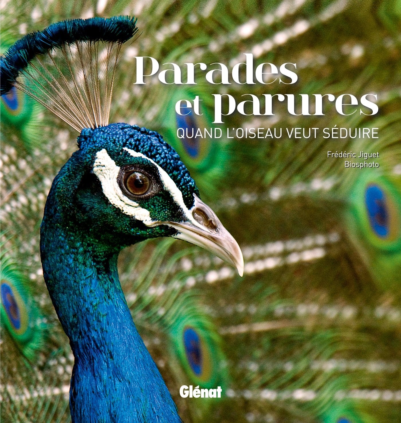 Parades et parures : quand l'oiseau veut séduire 9782344003169