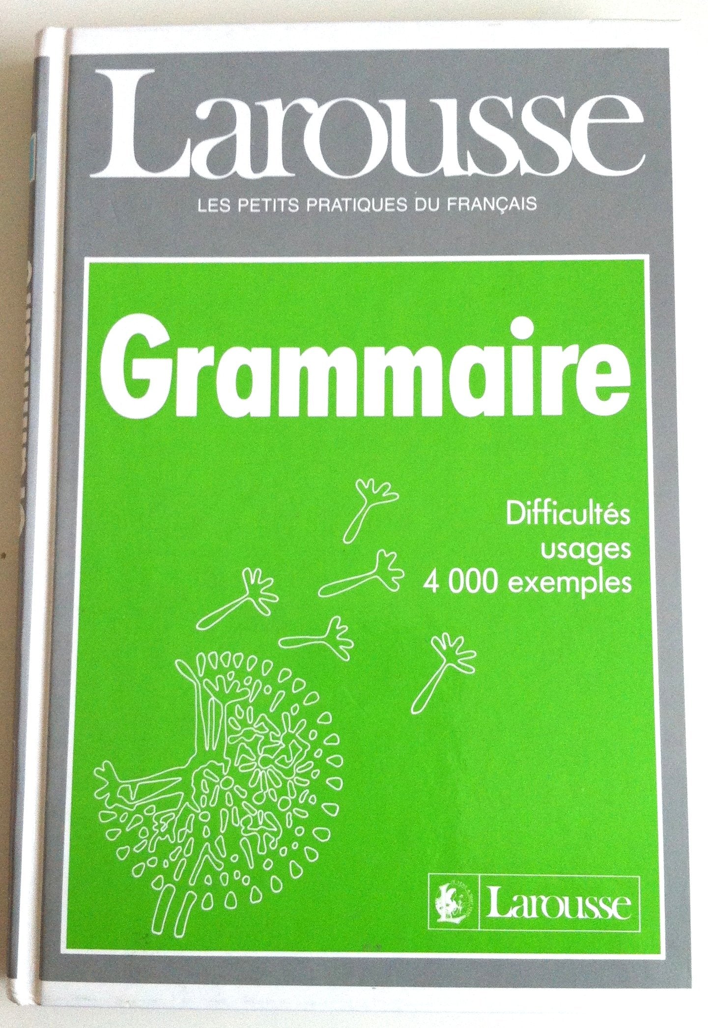Larousse Grammaire: Larousse De La Grammaire 9782038000122