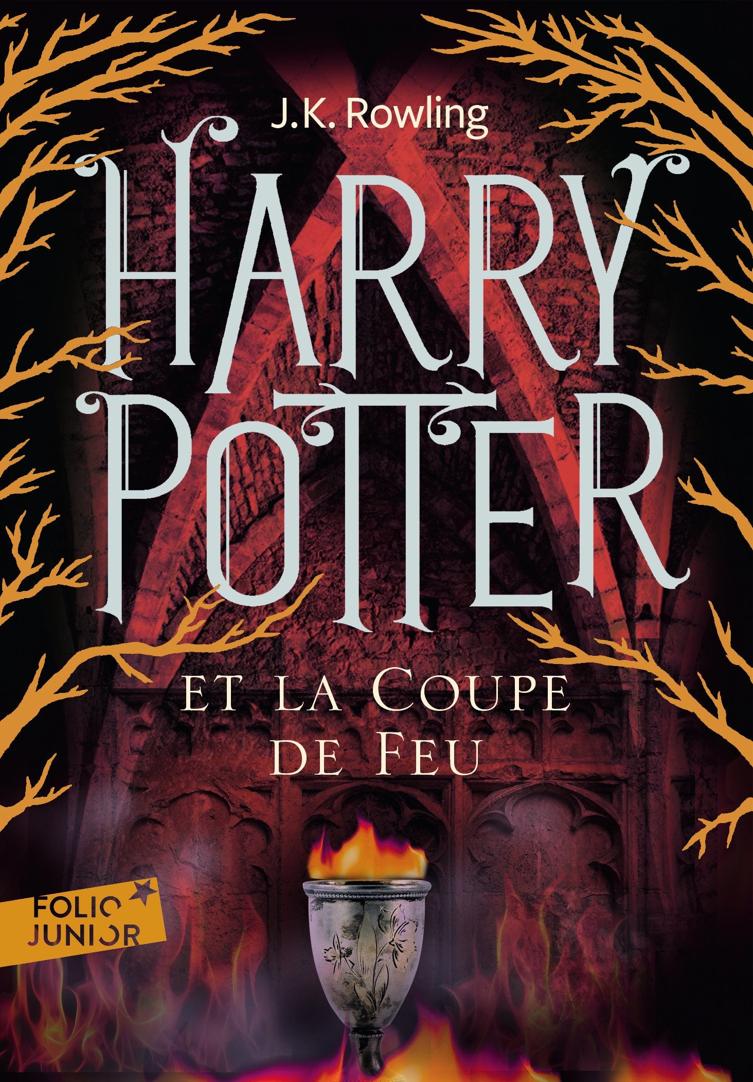 HARRY POTTER ET LA COUPE DE FEU 9782070643059