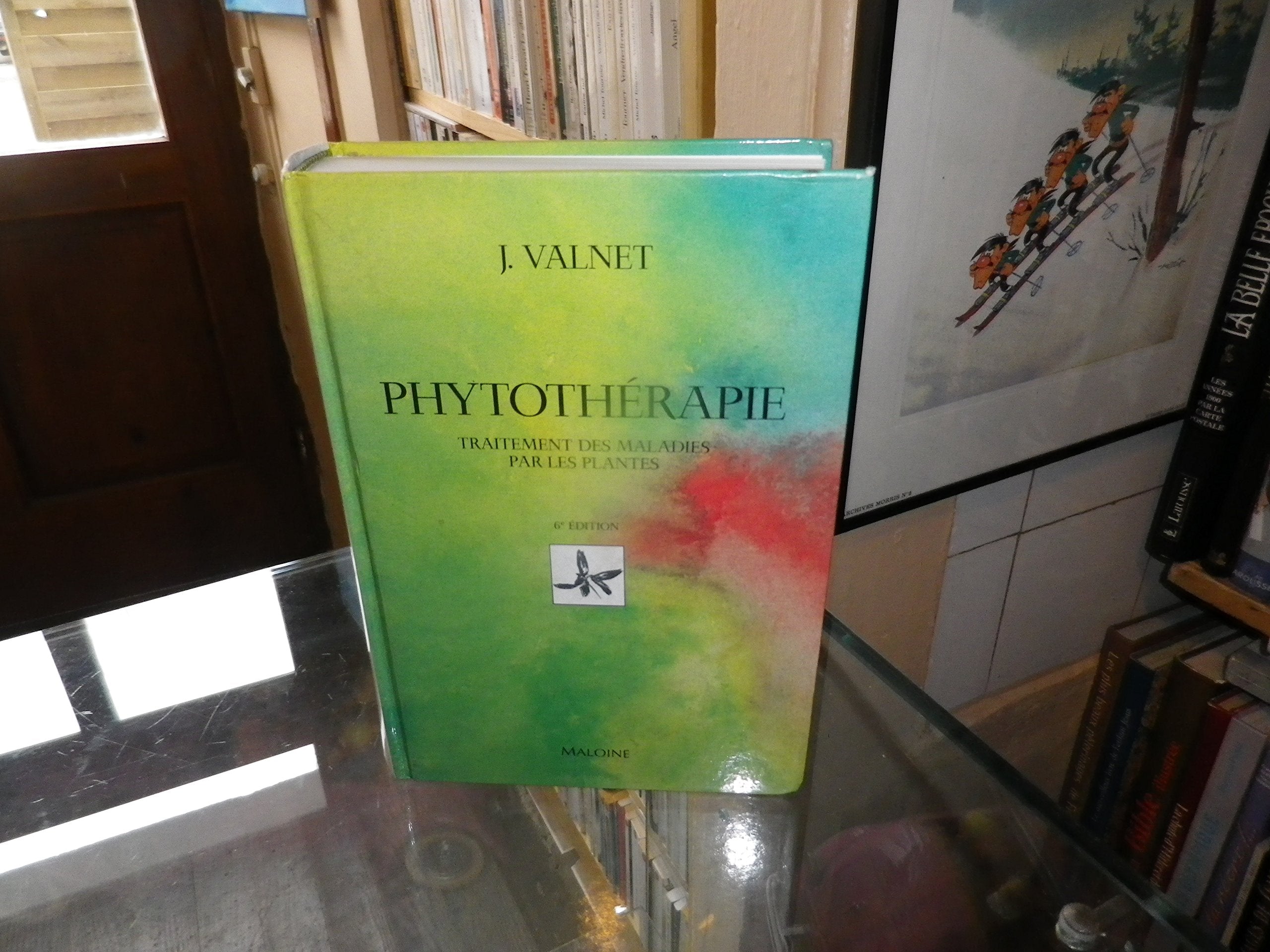 Phytotherapie. Traitement Des Maladies Par Les Plantes 9782224021429