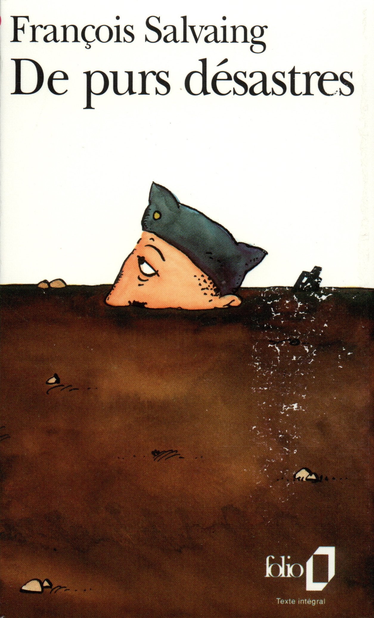 De purs désastres 9782070385065