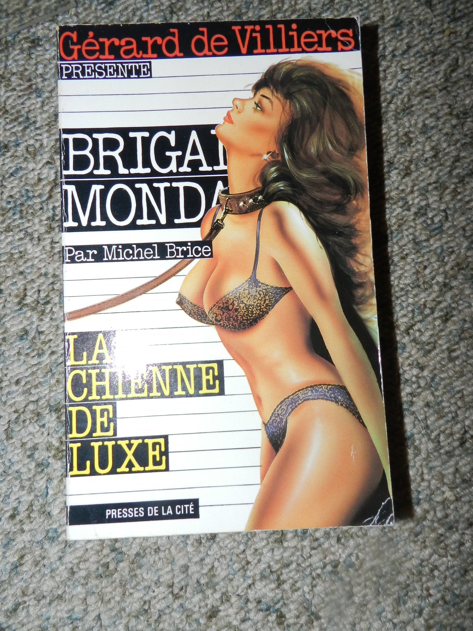 La chienne de luxe 9782258030565