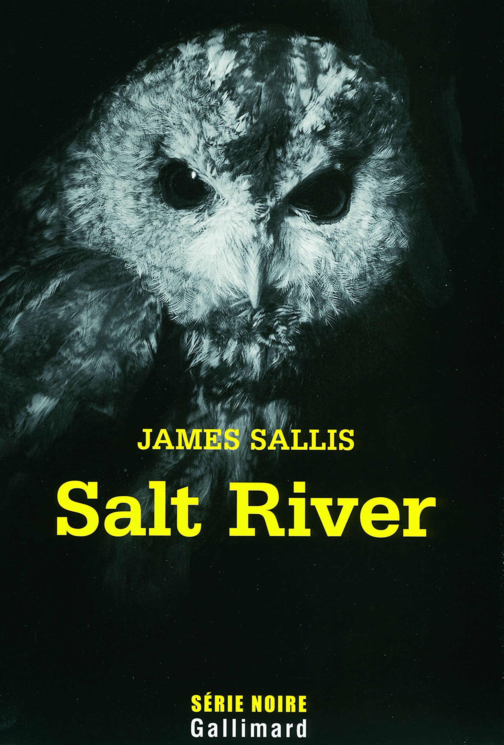 Salt River: Une enquête de John Turner 9782070122455