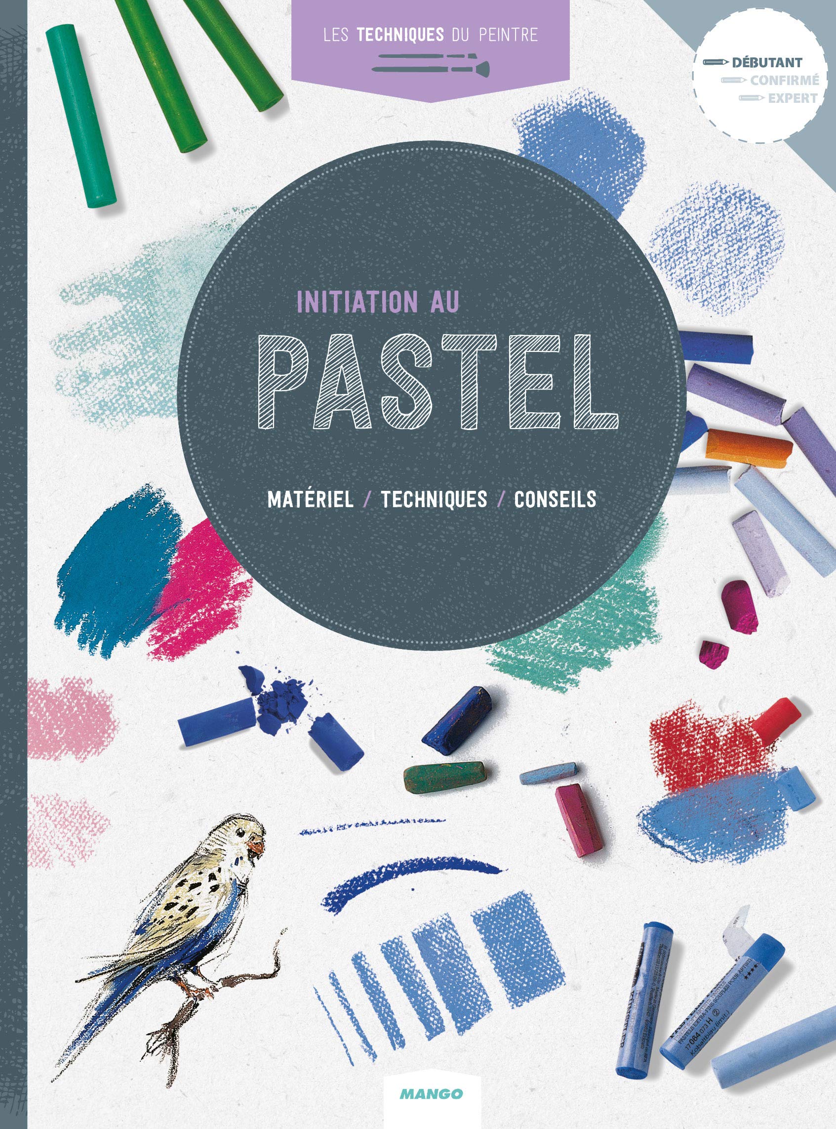 Initiation au pastel 9782812504105