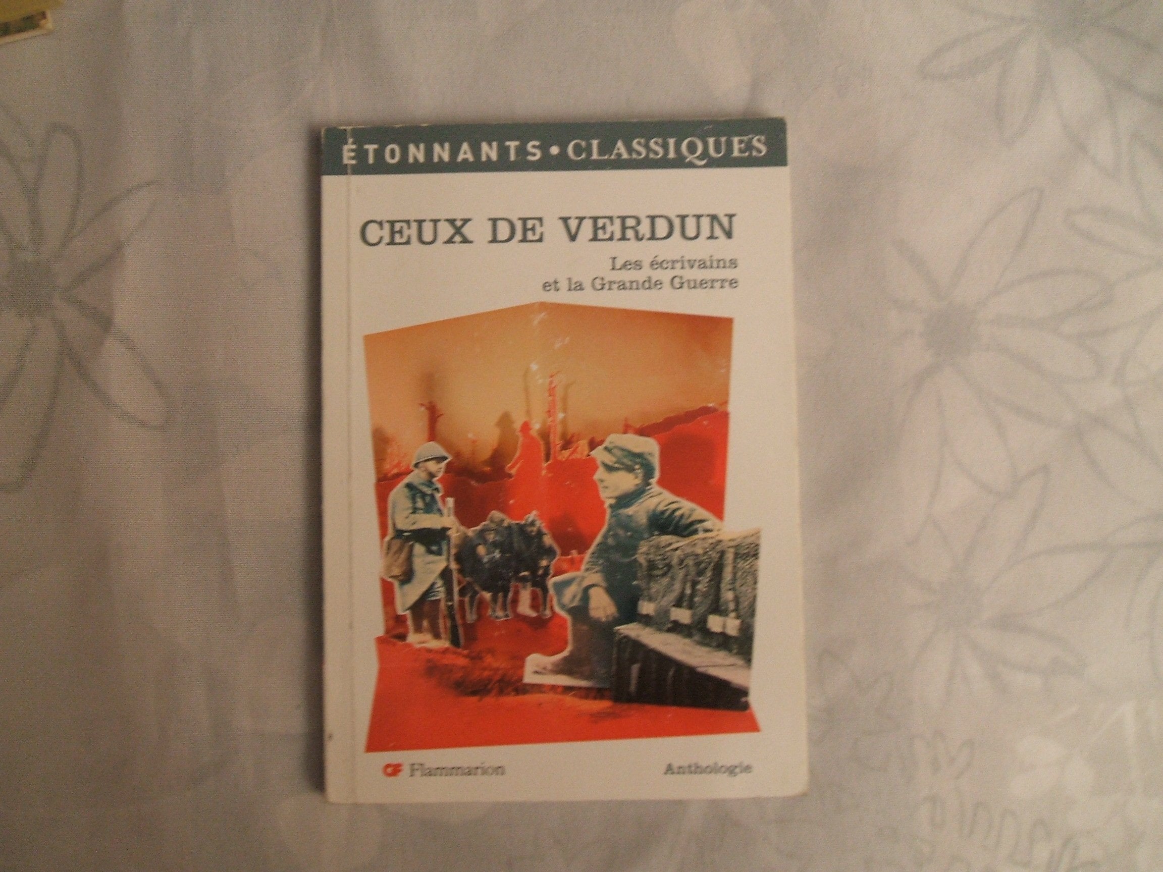 Ceux de verdun (nouvelle couverture): LES ECRIVAINS ET LA GRANDE GUERRE 9782080722751