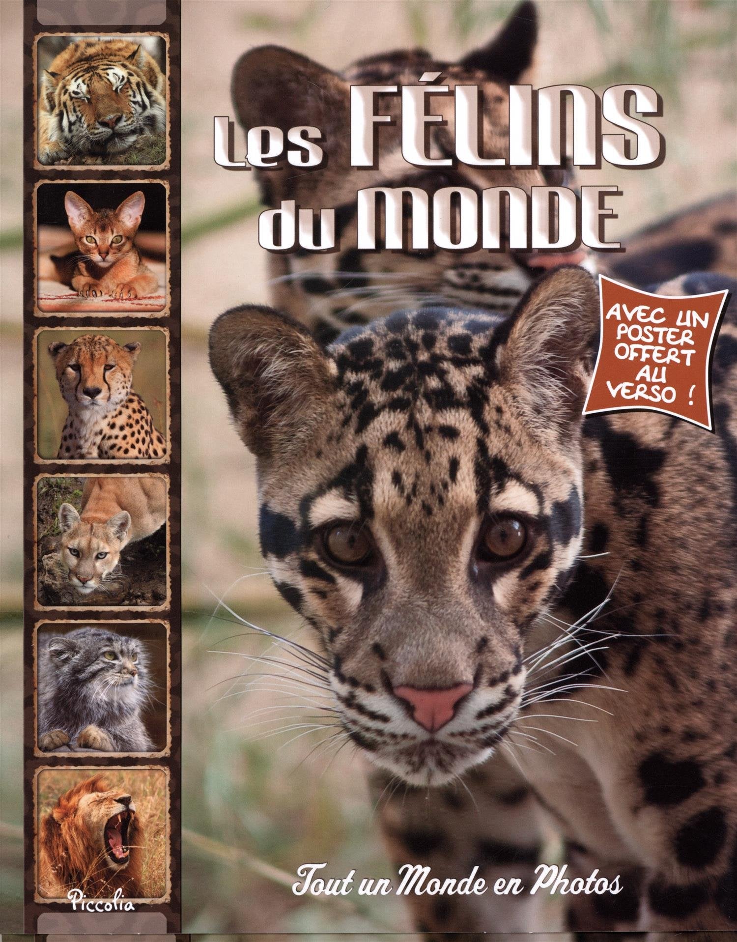 Les félins du monde 9782753032682