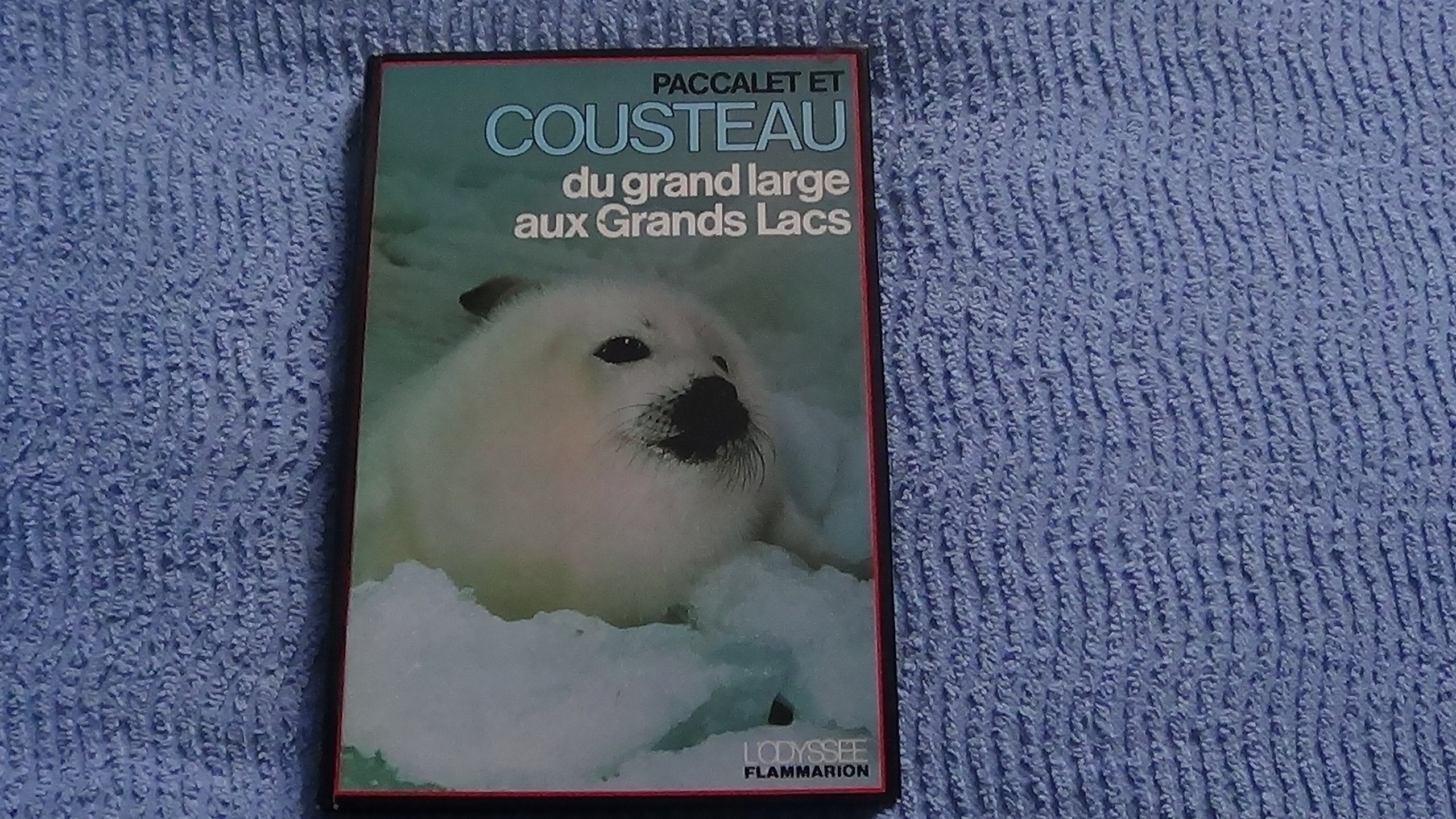 Du grand large aux Grands Lacs 9782082004534