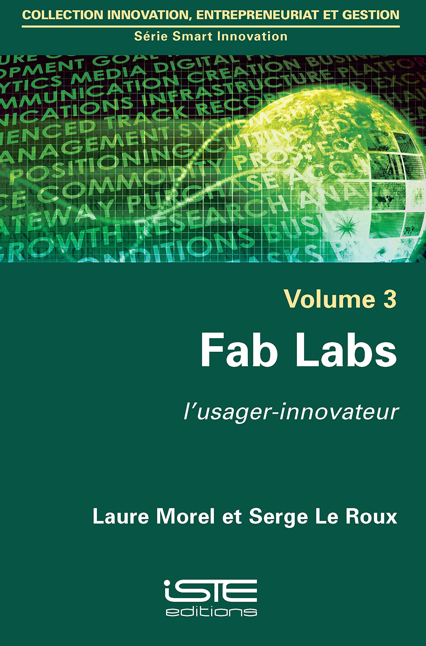 Fab Labs: L'usager-innovateur 9781784051280