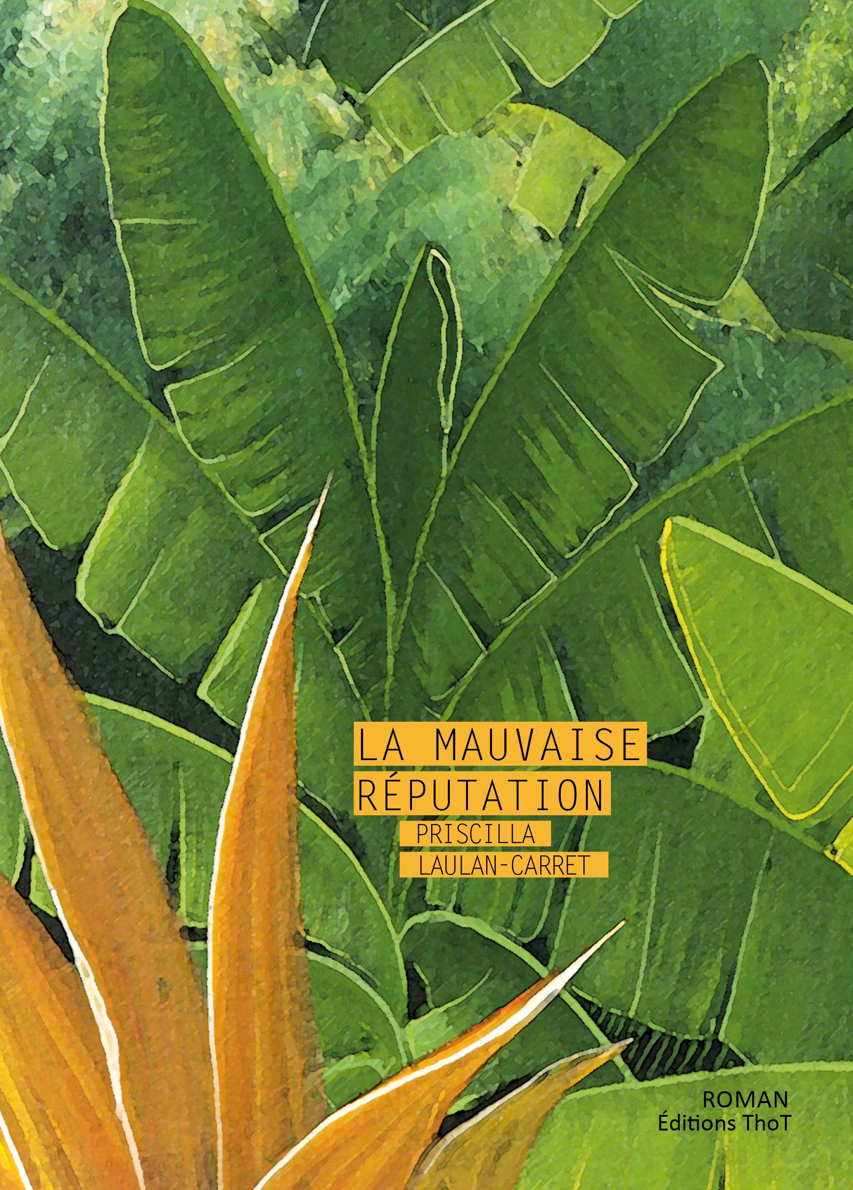 La mauvaise réputation 9782849213445