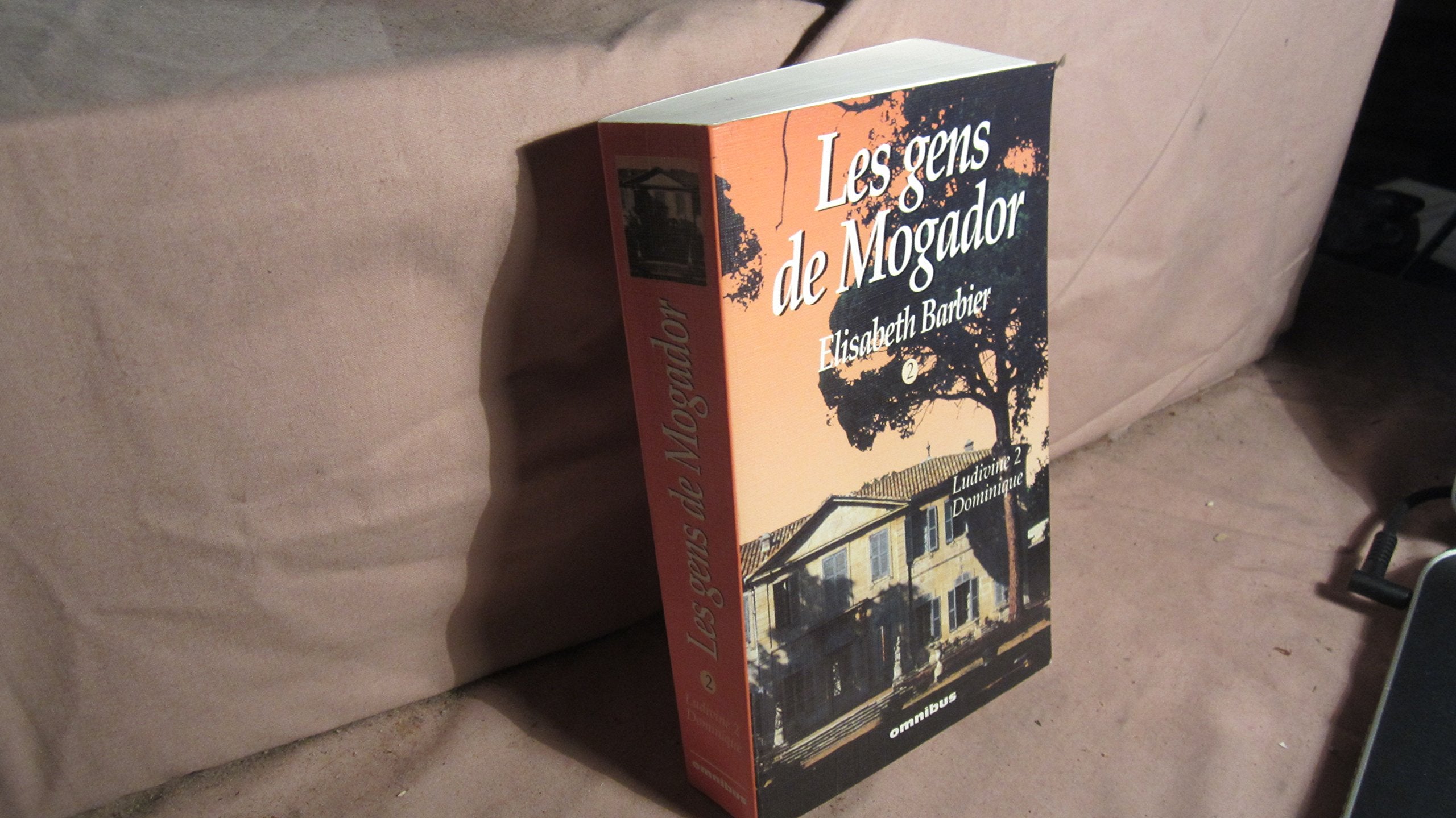 LudivineDominique 9782258040144