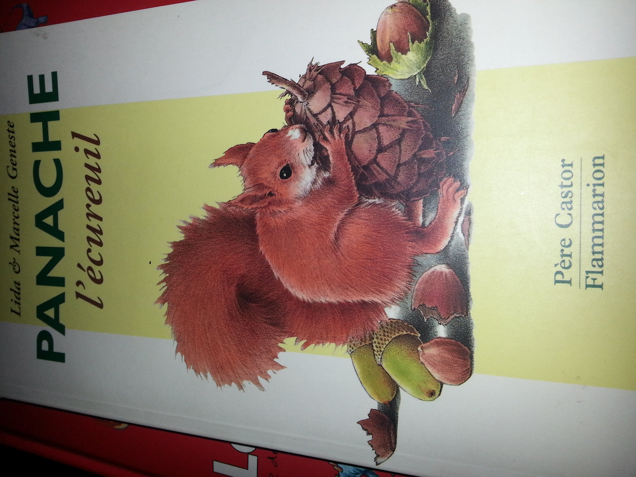 Panache l'écureuil 9782081636019