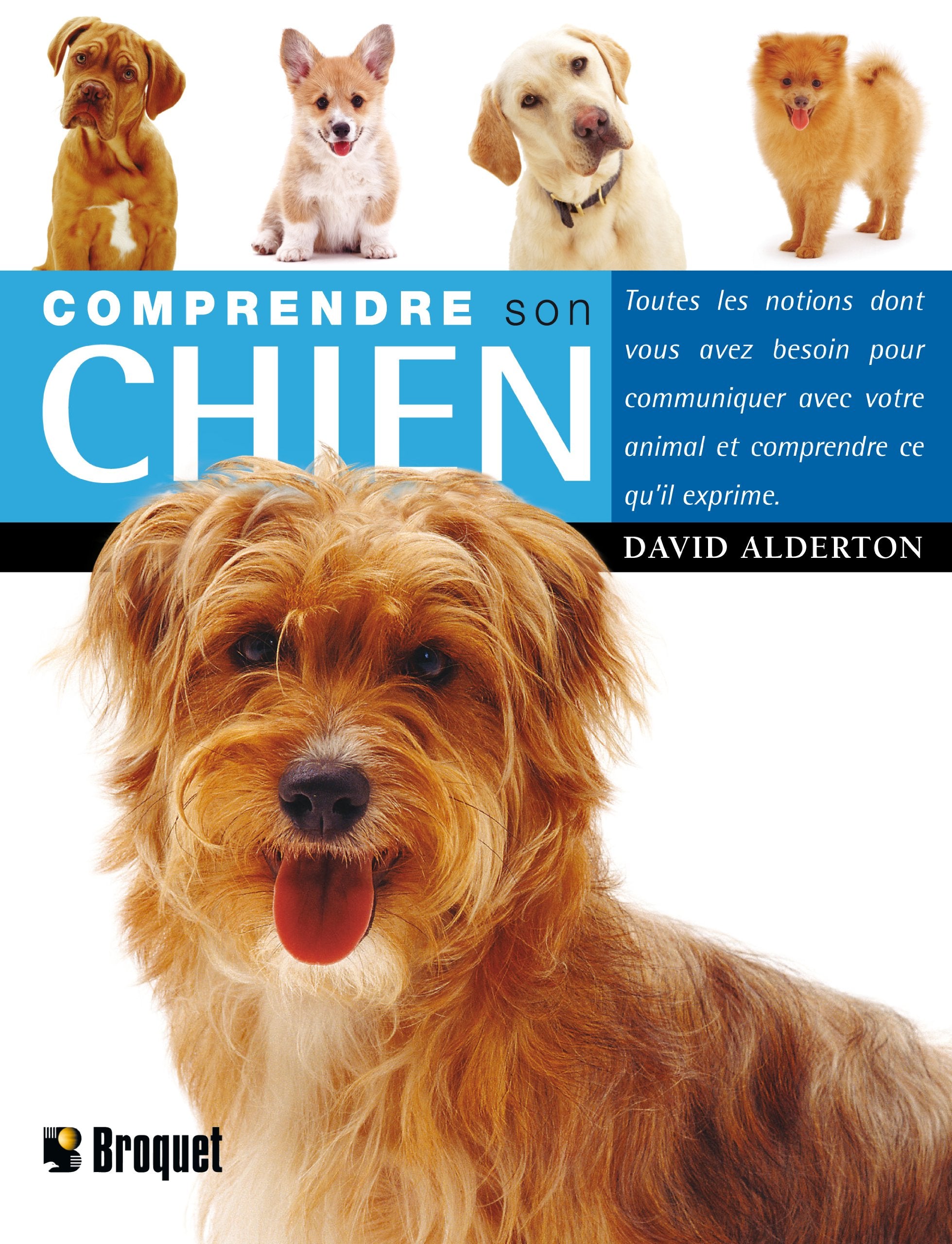 Comprendre son chien 9782890008793