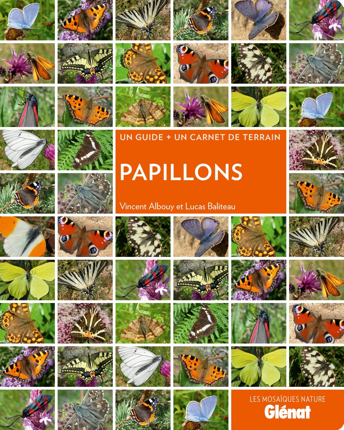 Papillons 9782723494540