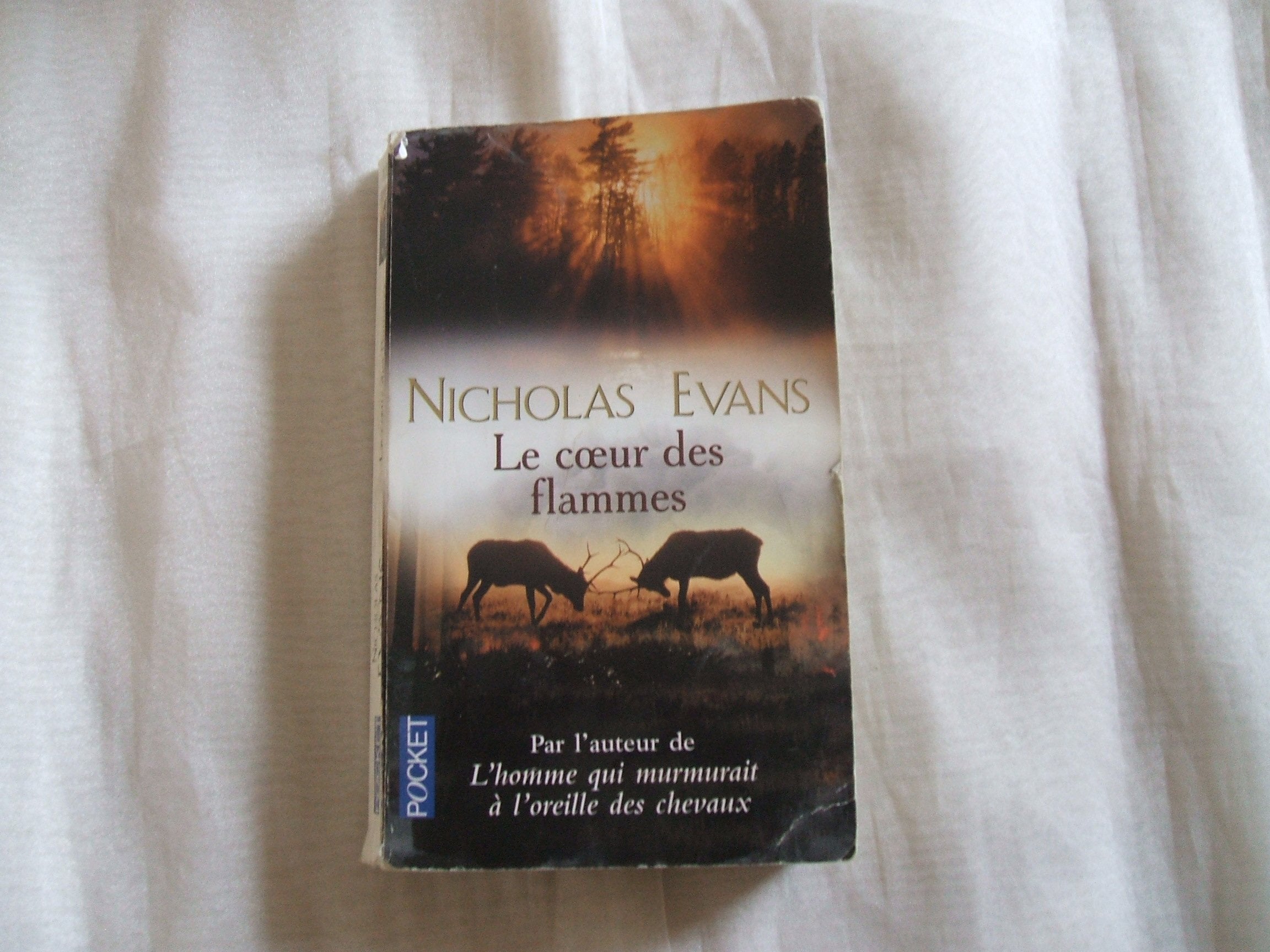 Le Coeur des flammes 9782266124300