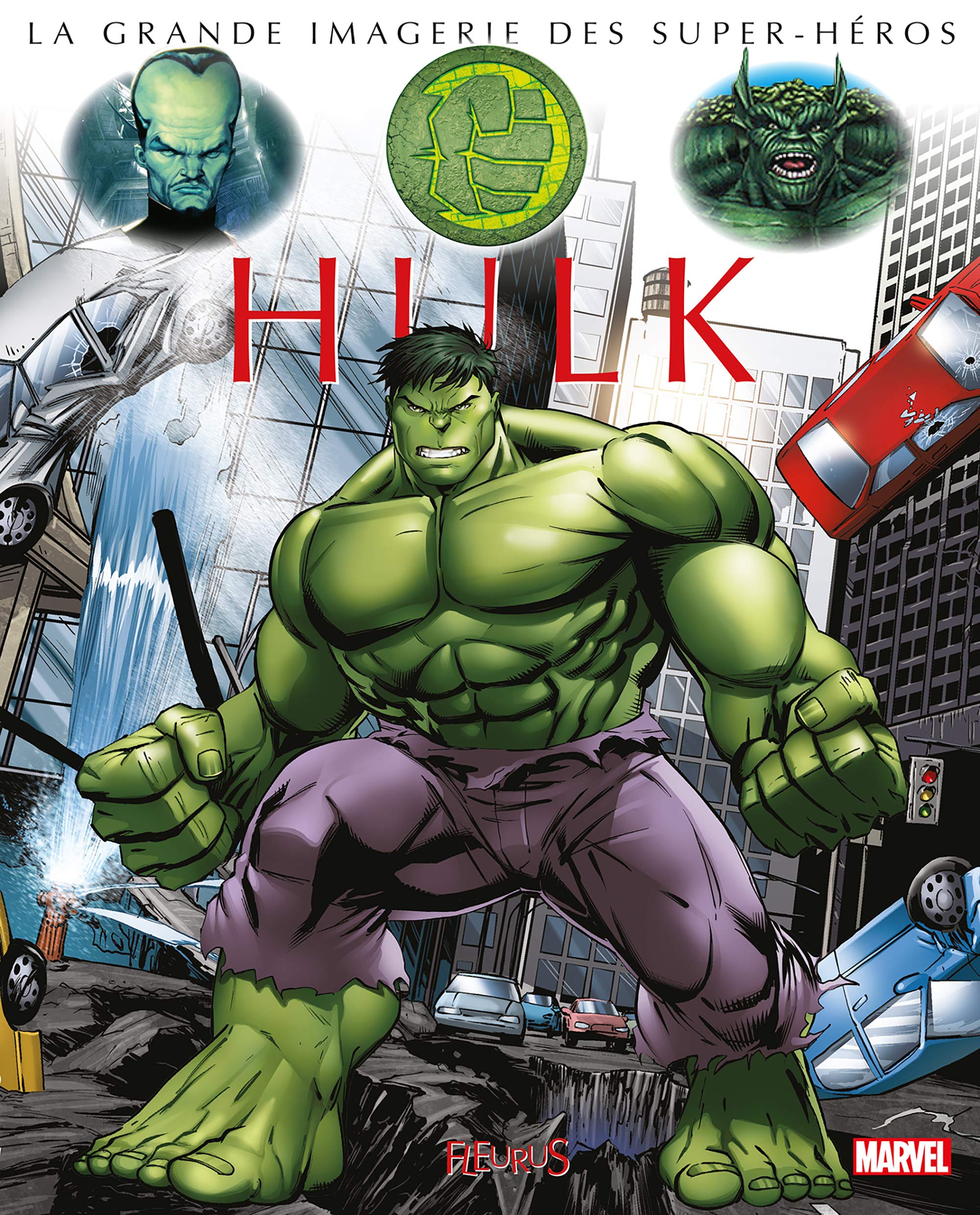 Hulk 9782215143765