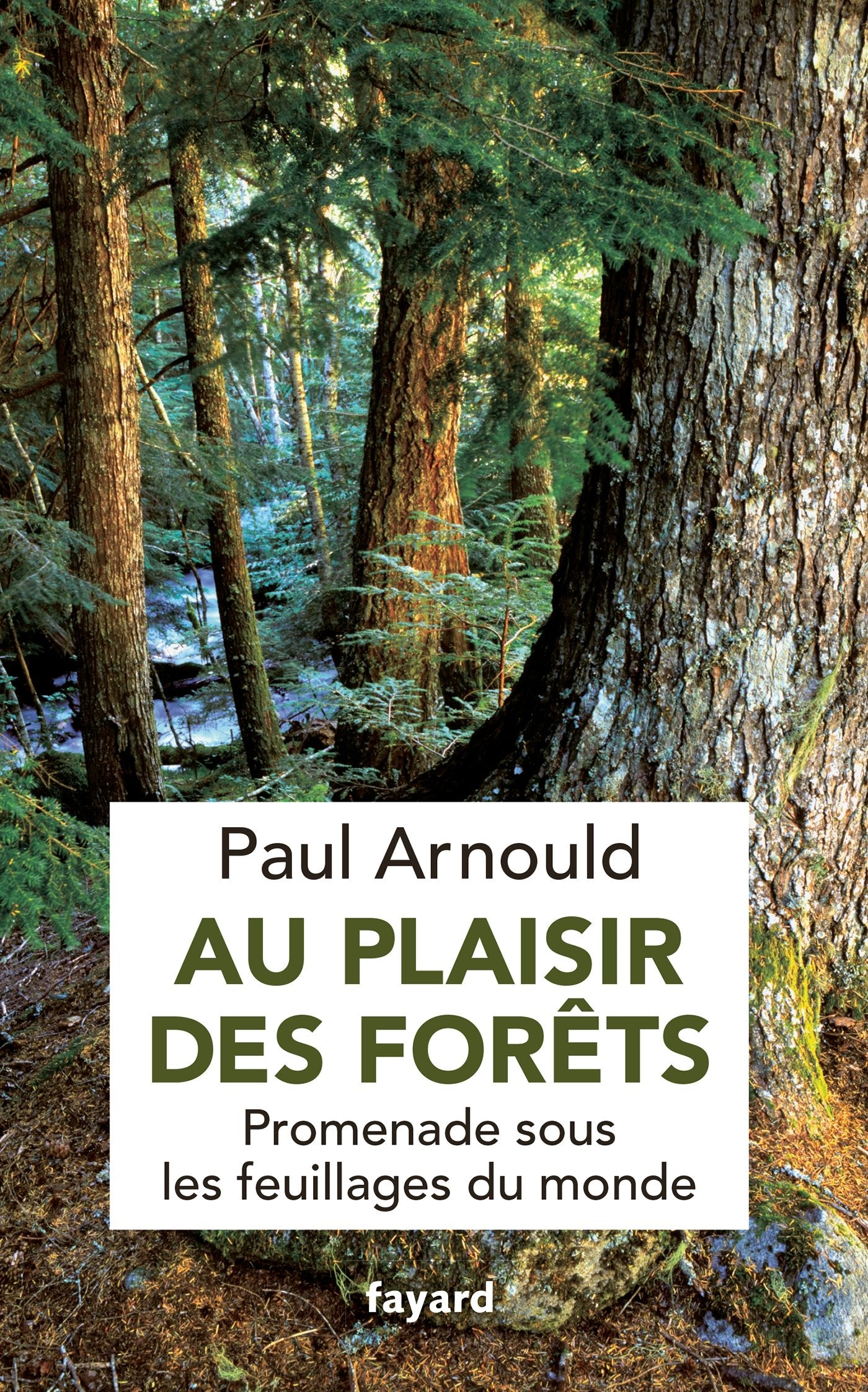 Au plaisir des forêts: Promenade sous les feuillages du monde 9782213662022