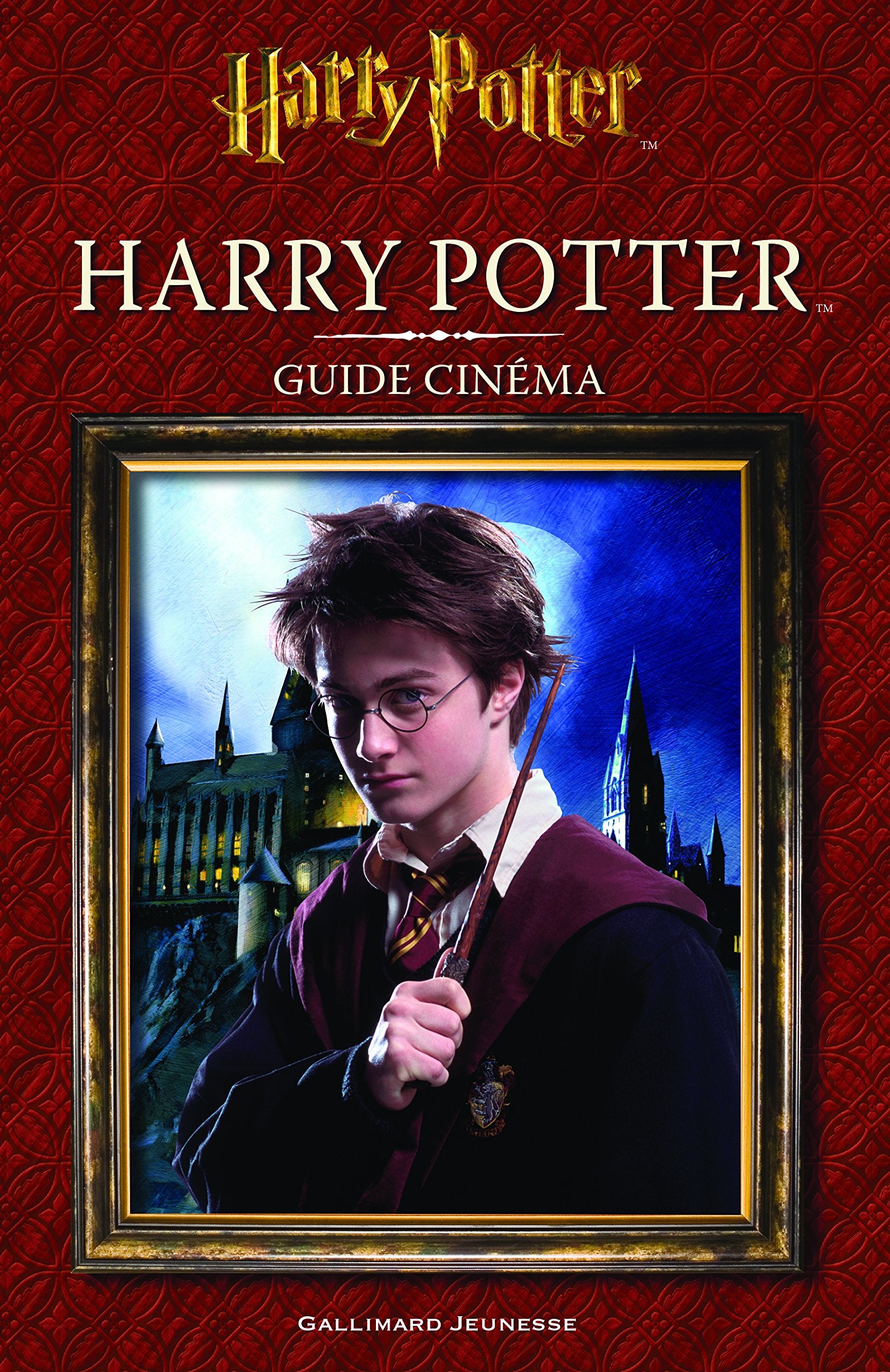 HARRY POTTER - GUIDE CINEMA 1 : HARRY POTTER 9782075076241