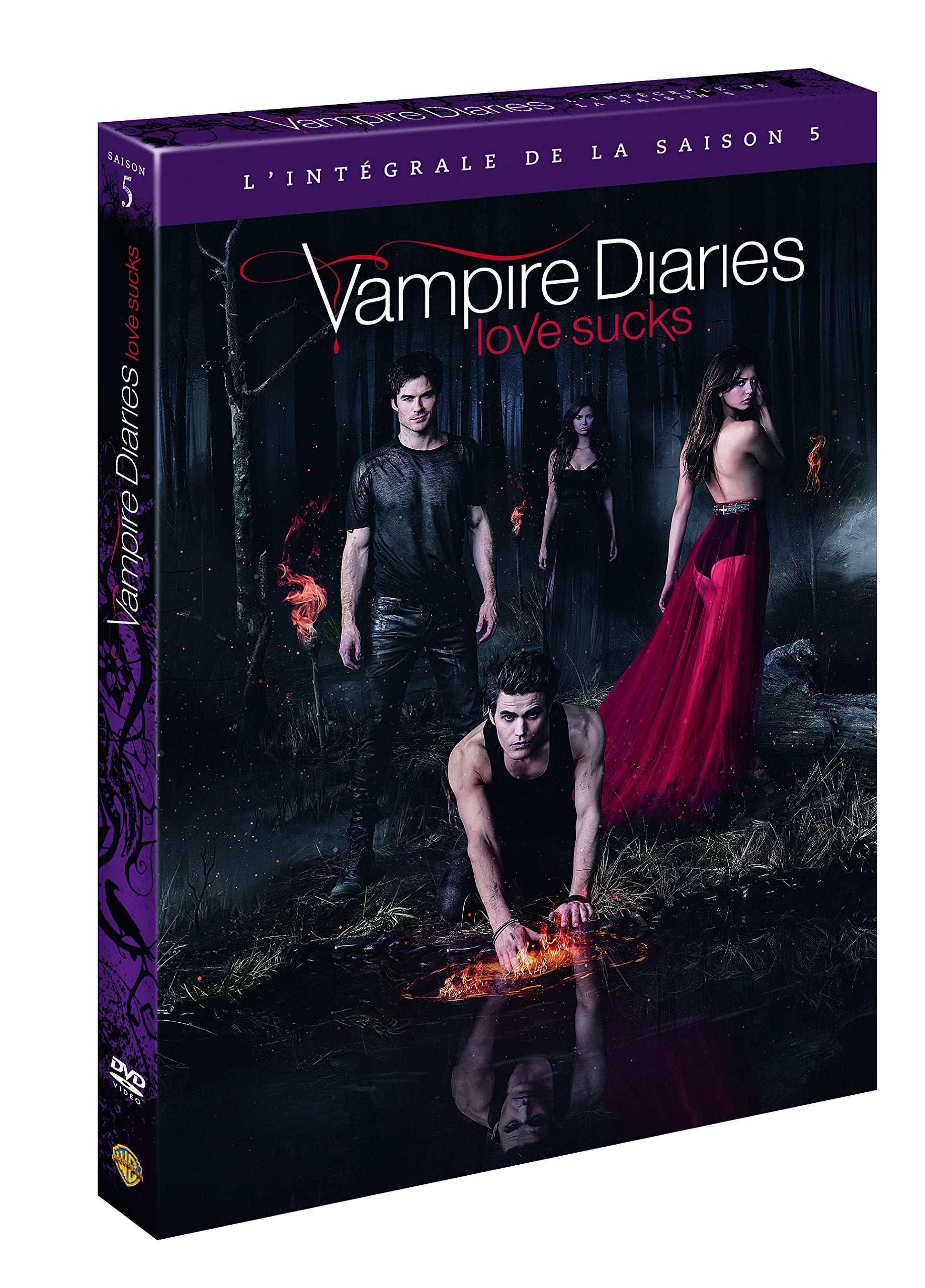 Vampire Diaries-L'intégrale de la Saison 5 5051889458036