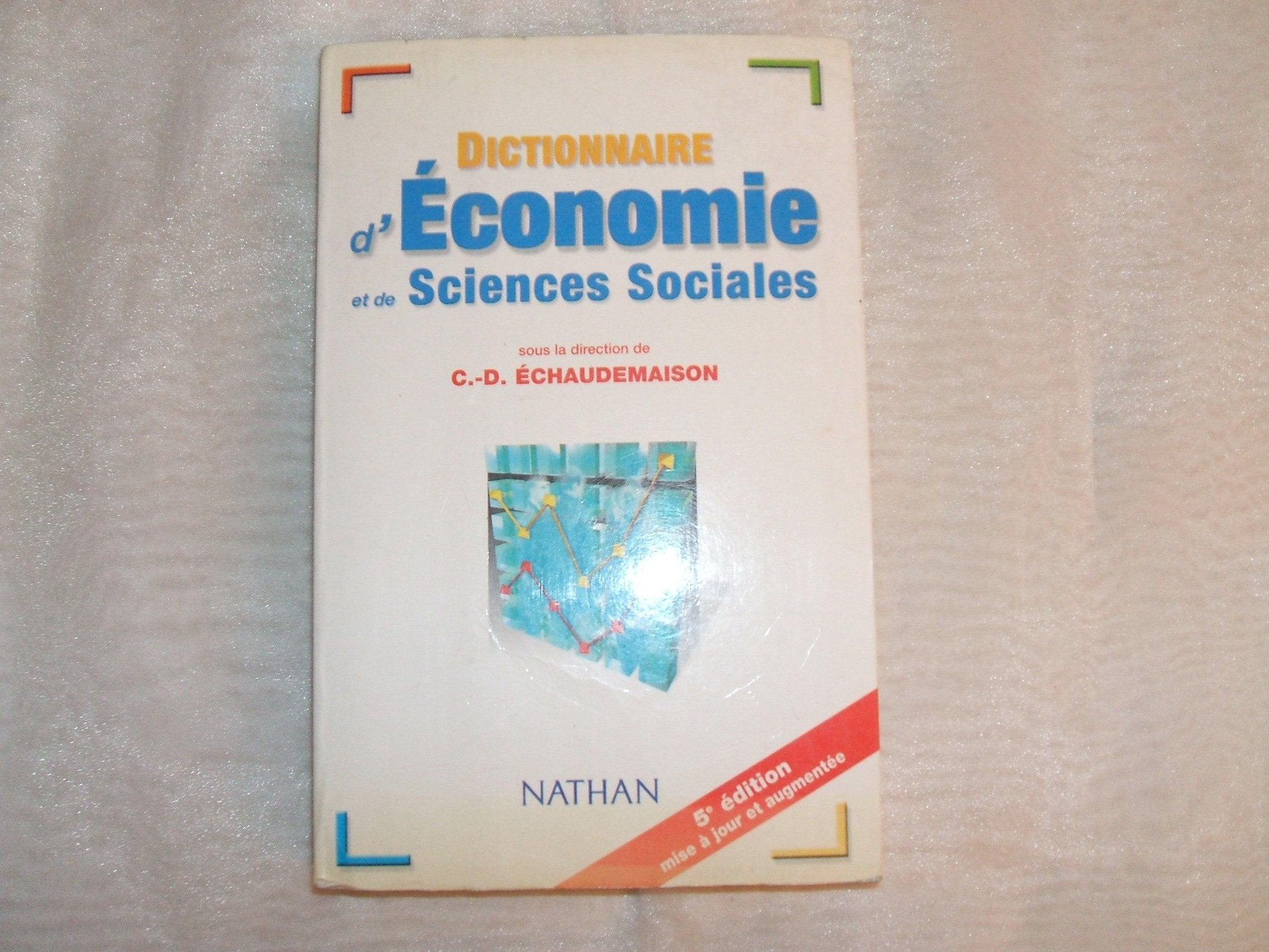 Dictionnaire d'économie et de sciences sociales 9782091821122