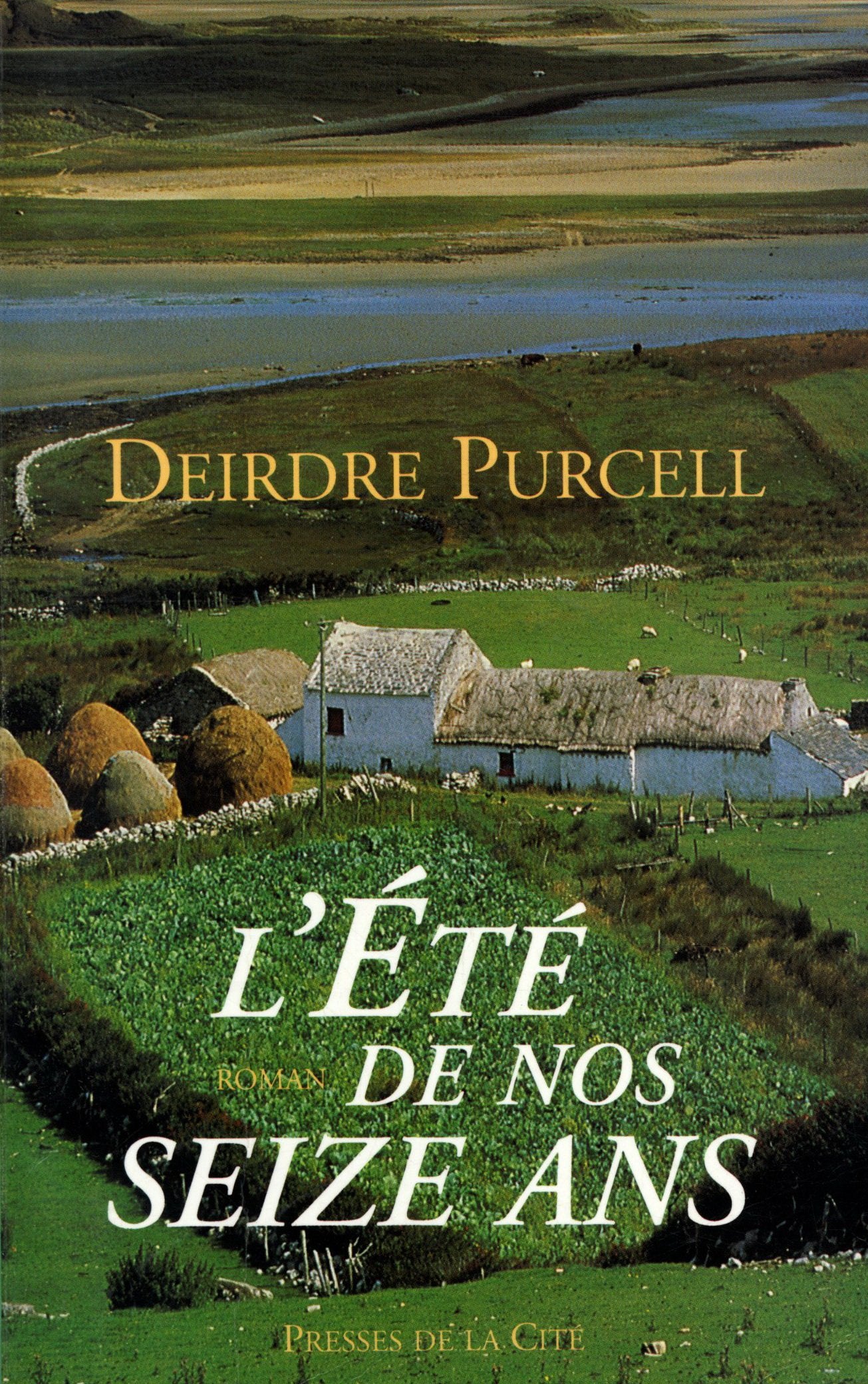 L'été de nos seize ans 9782258038073