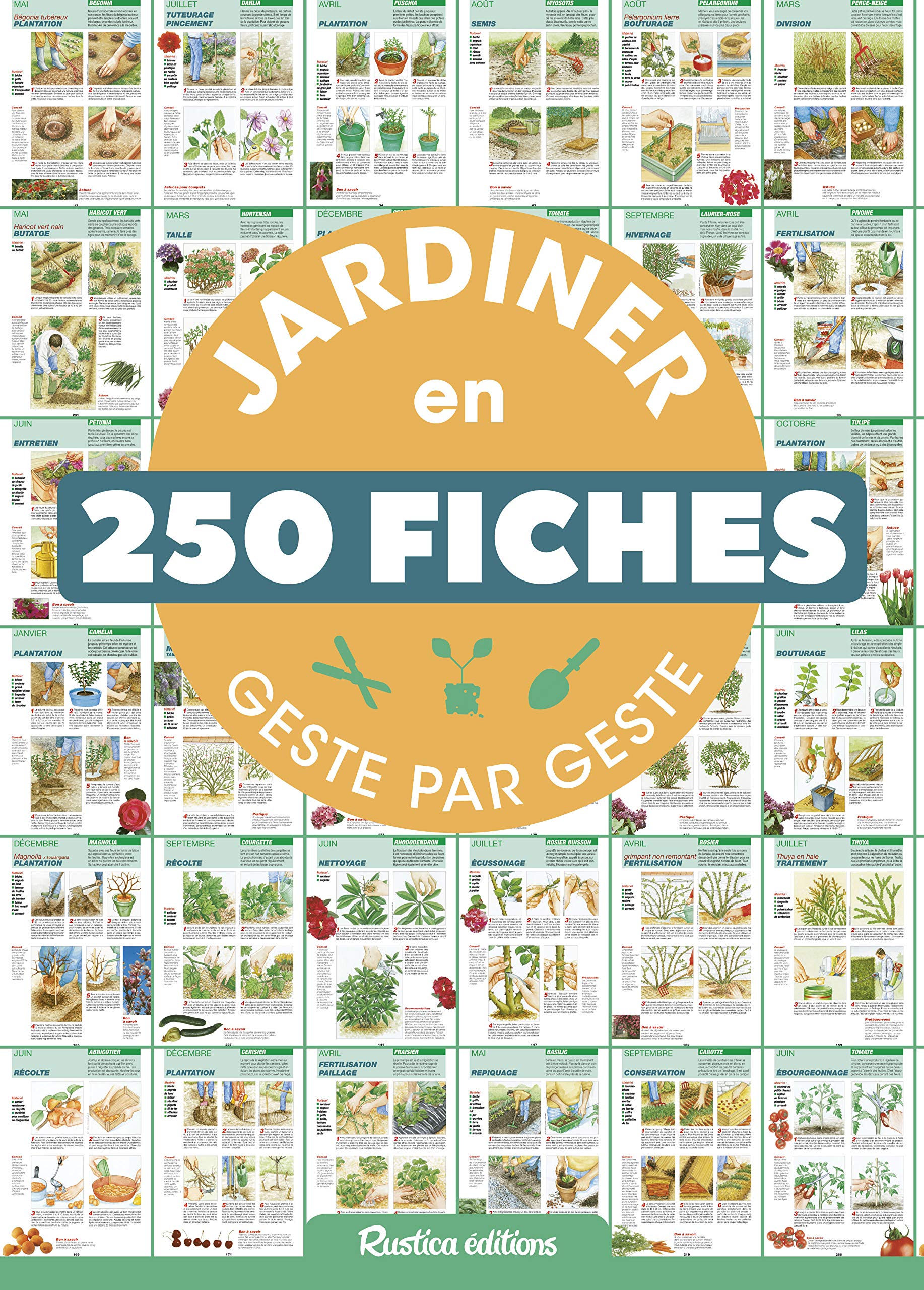Jardiner en 250 fiches geste par geste 9782815311342