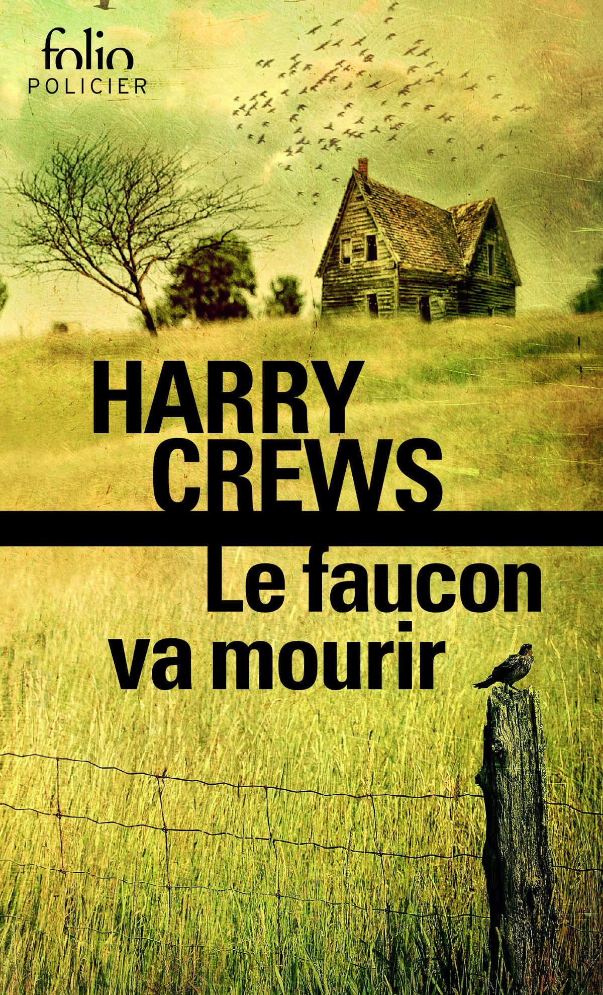 Le faucon va mourir 9782070443512