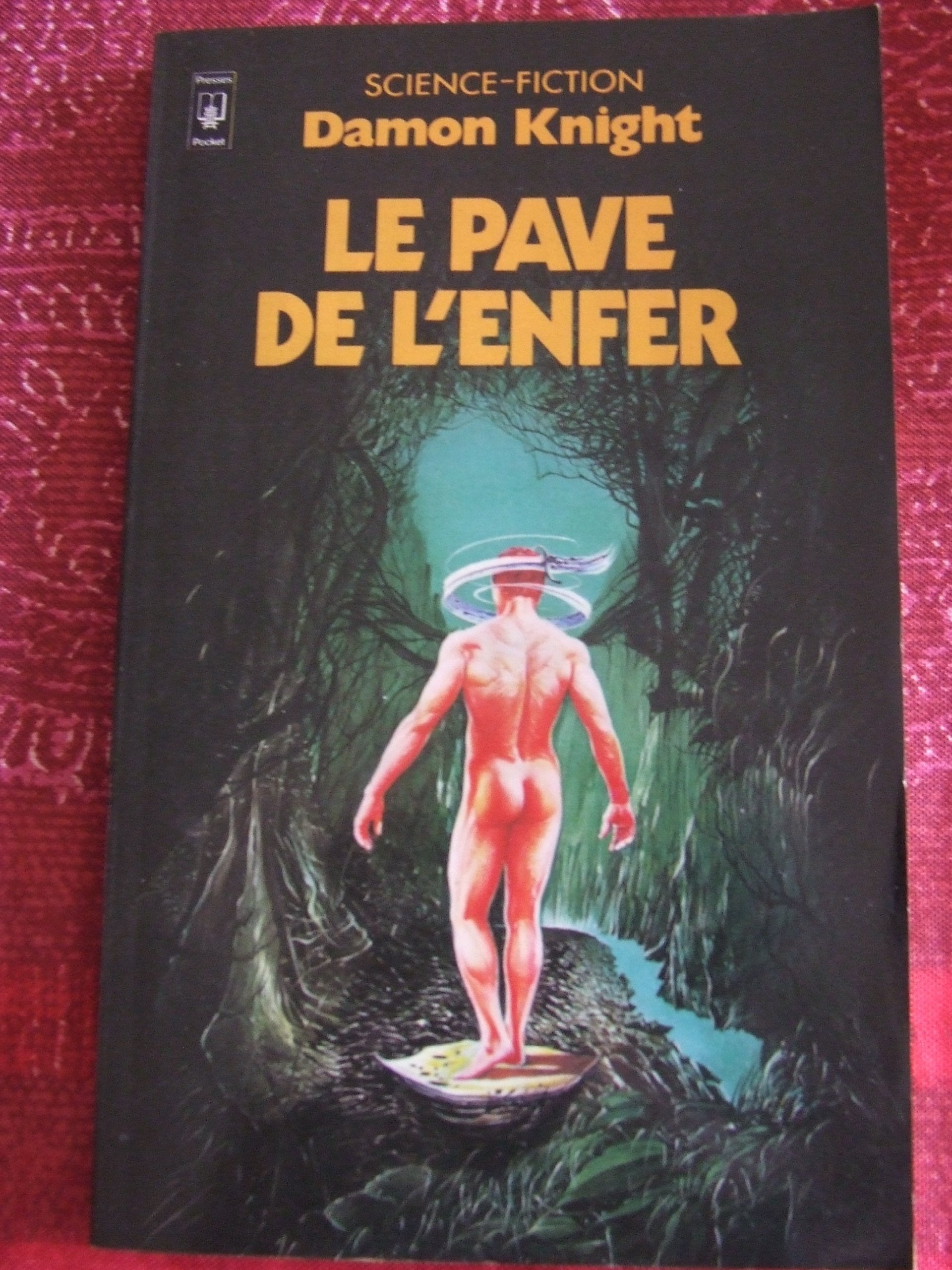 Le pave de l'enfer 9782266011242