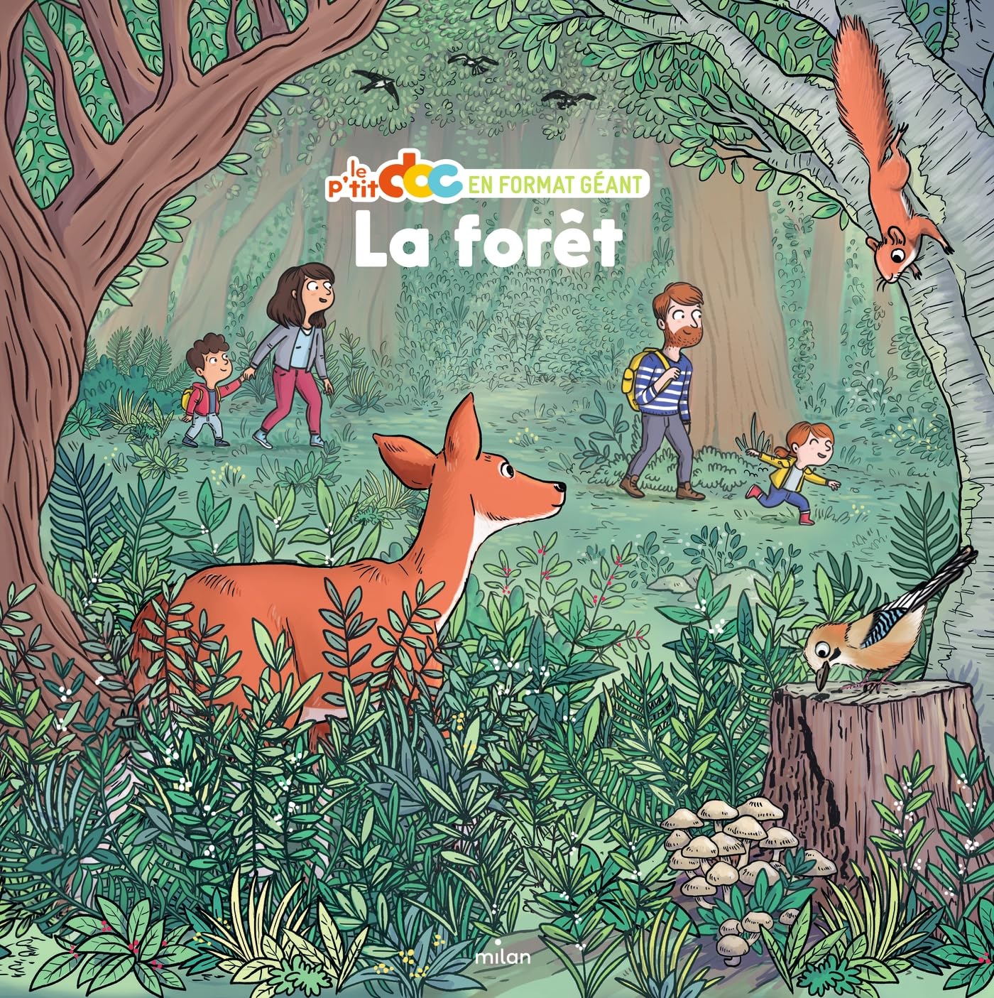La forêt - format géant 9782408049133