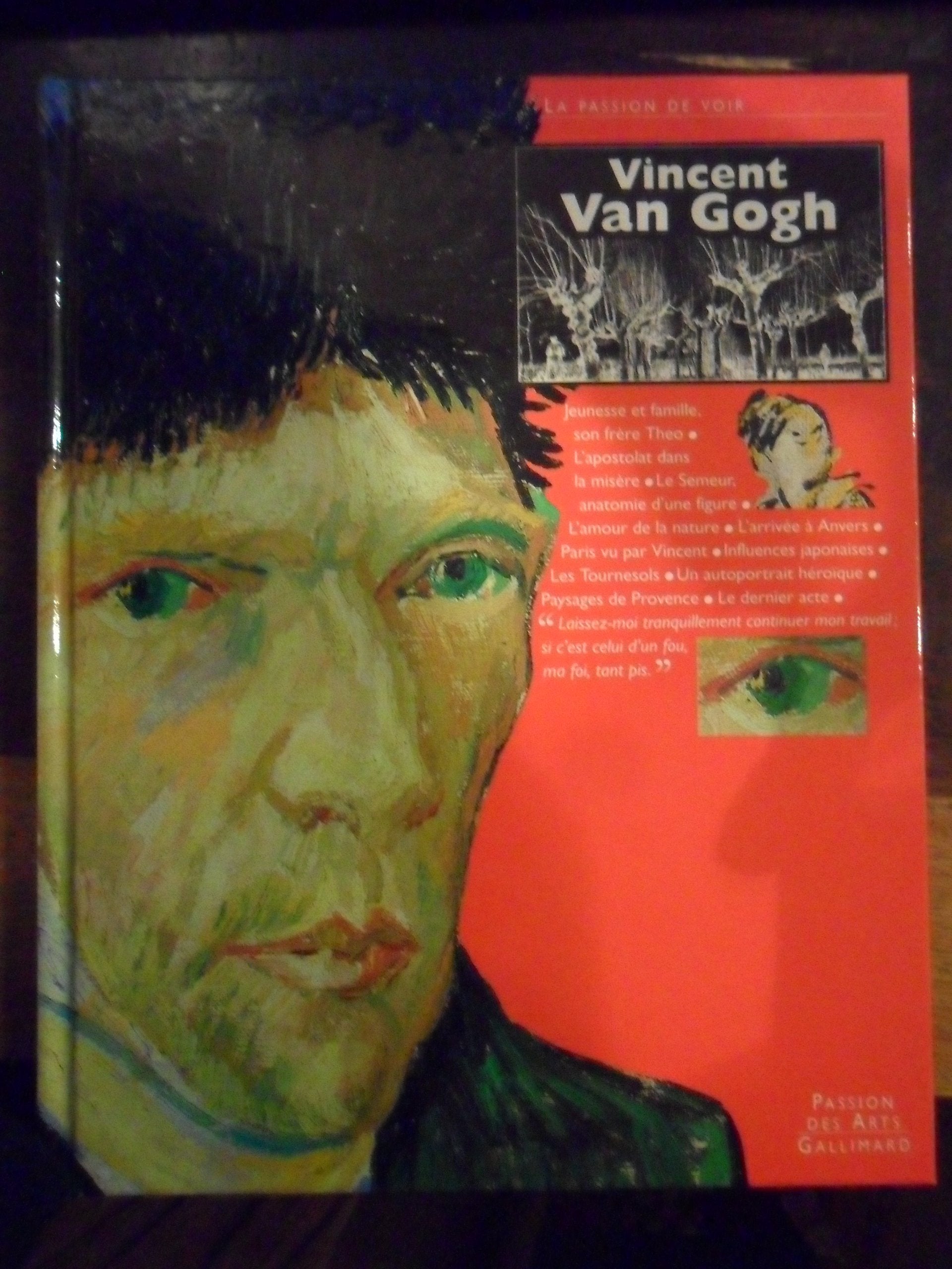 Vincent Van Gogh: La passion de voir 9782070568499